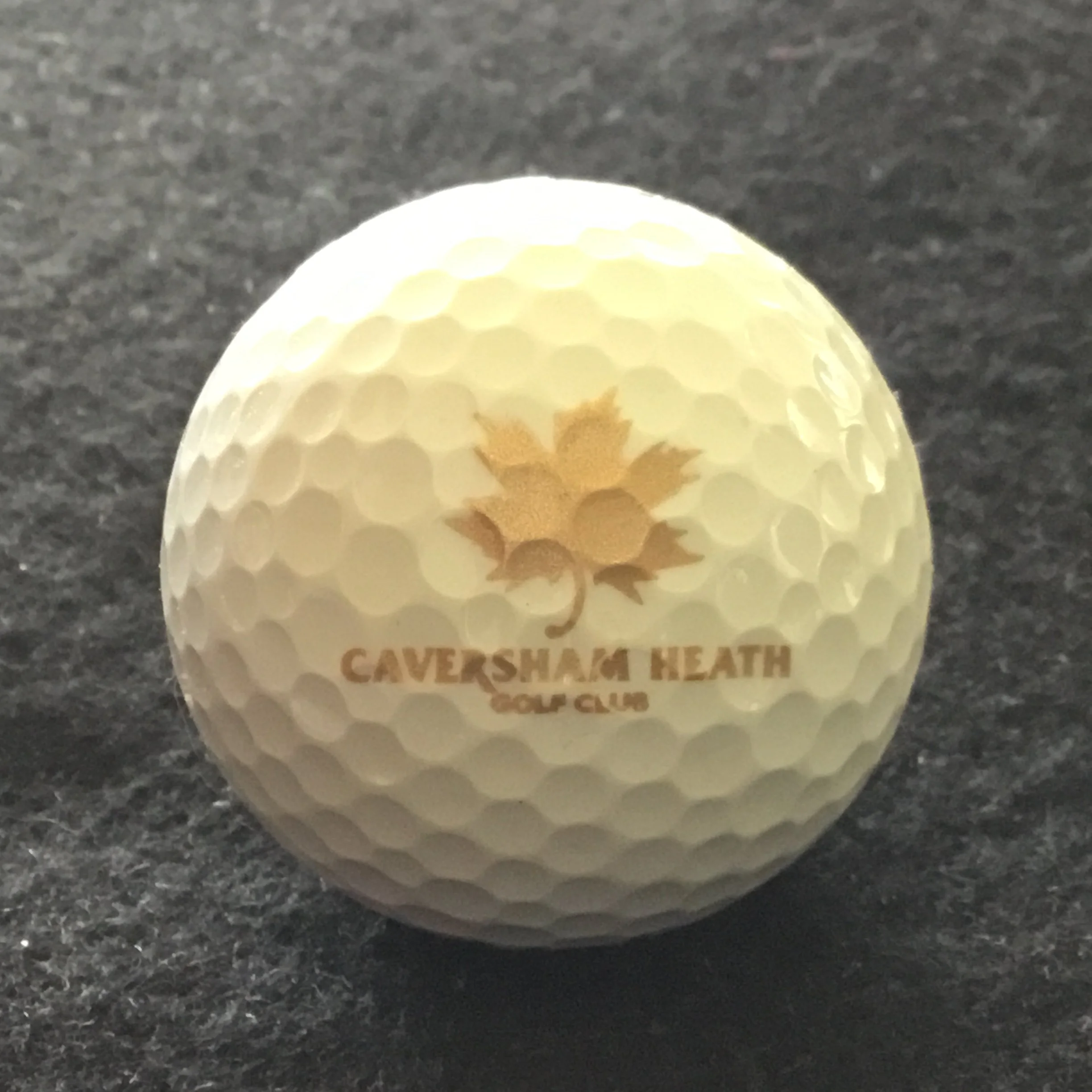 Caversham Heath Golf Club