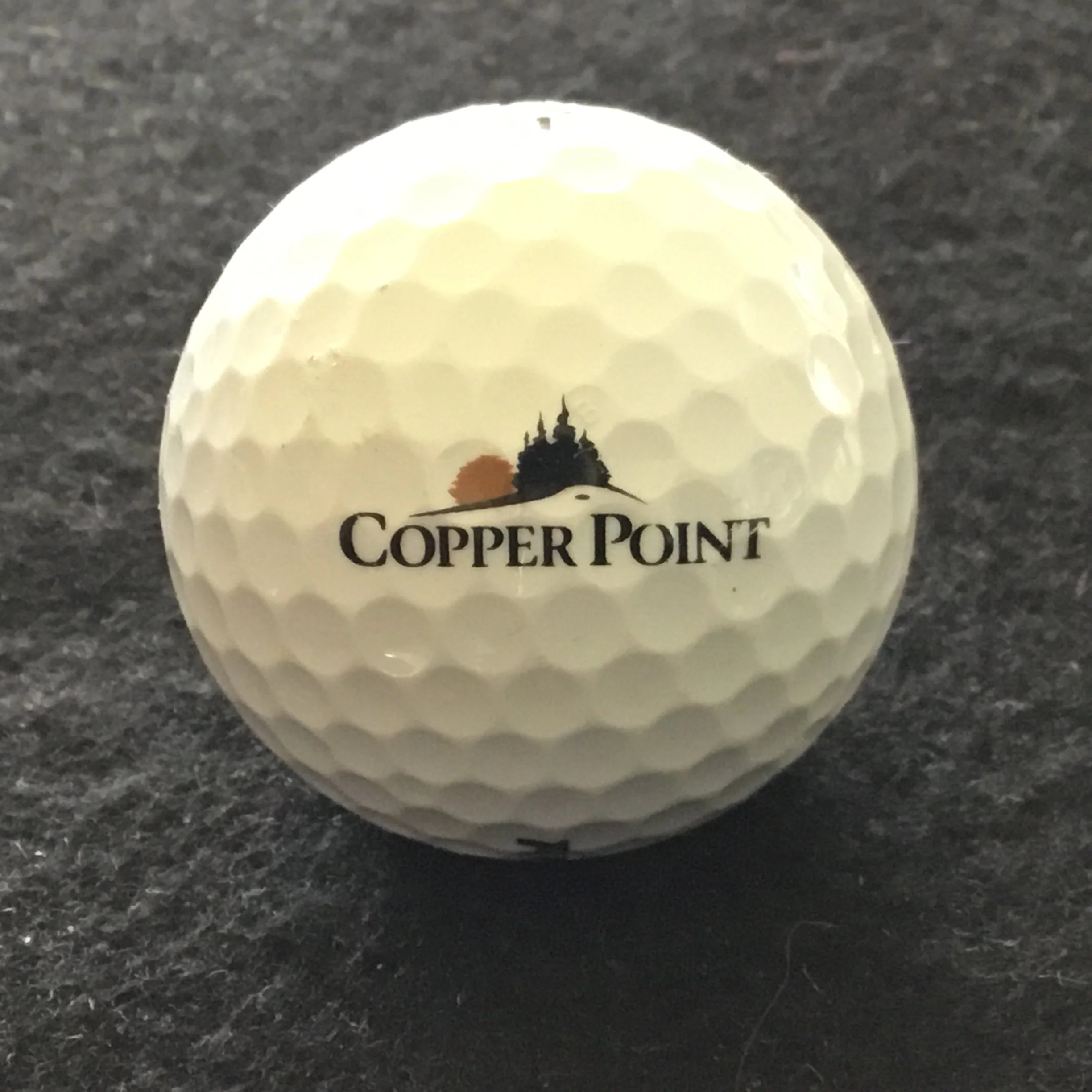 Copper Point Golf Club