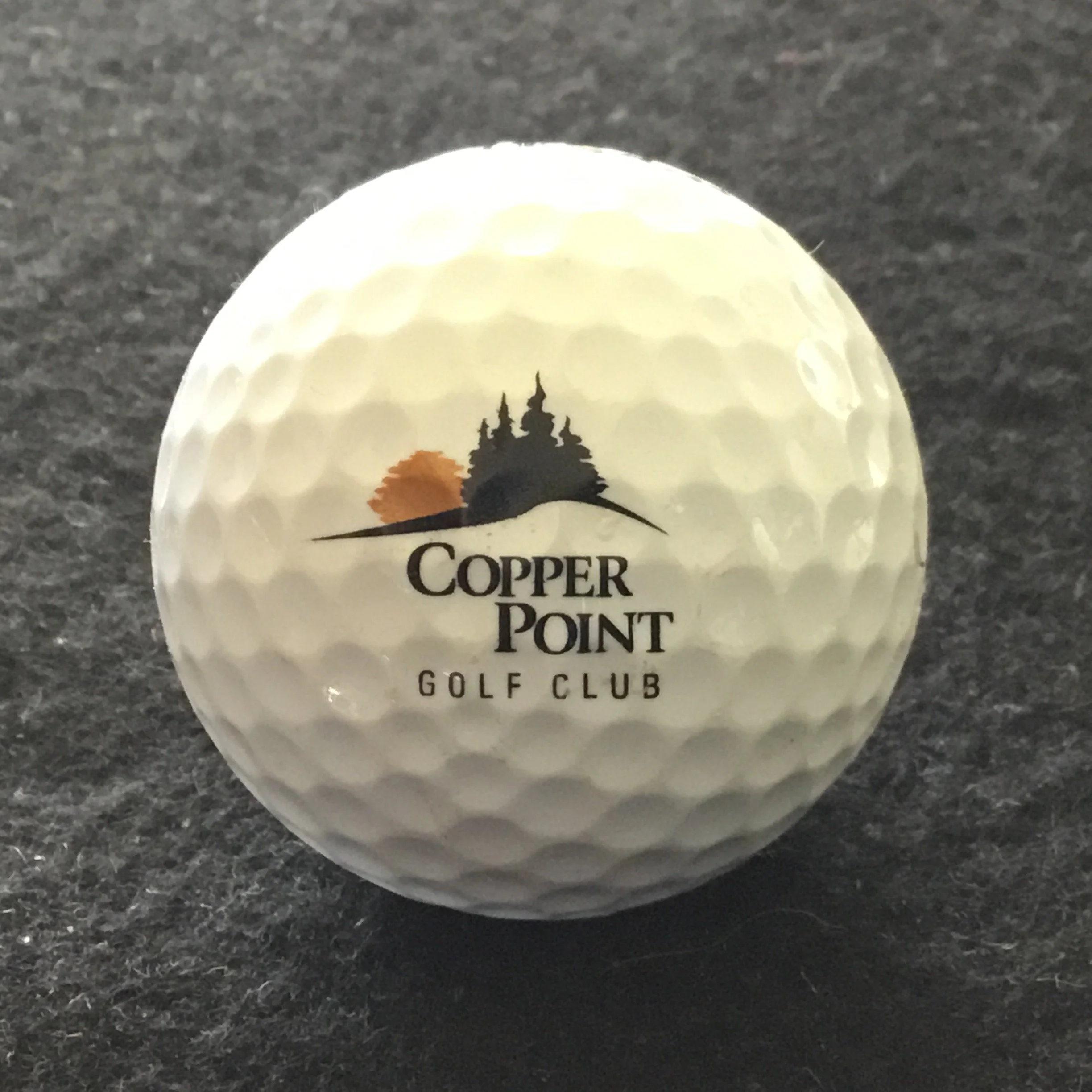 Copper Point Golf Club