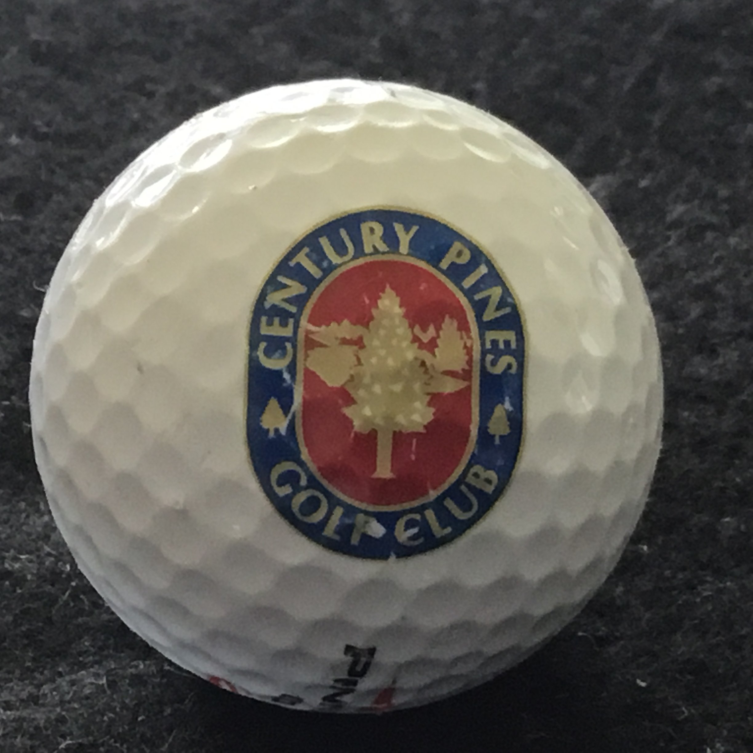 Century Pines Golf Club