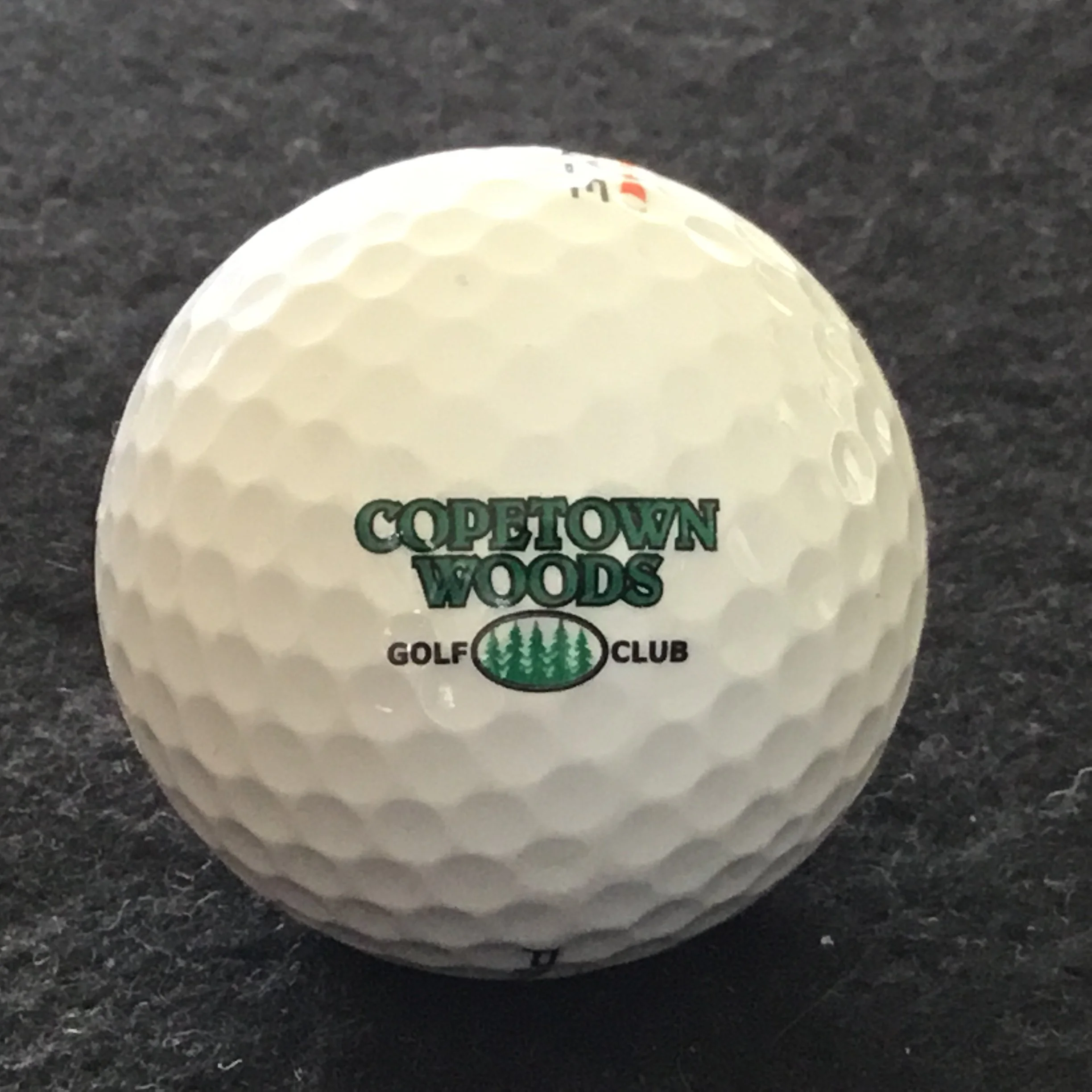 Copetown Woods Golf Club