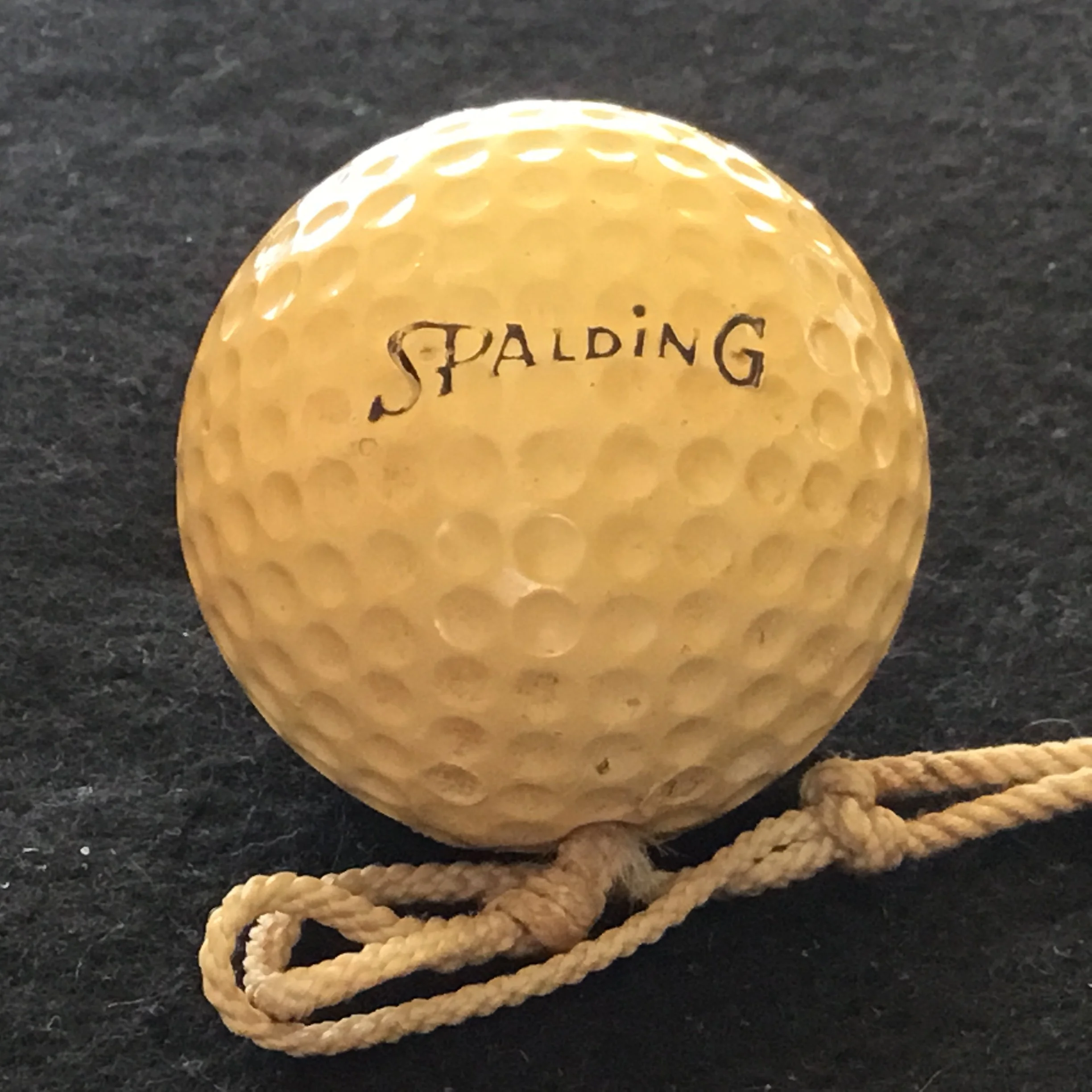 Spalding Rope attached practise ball