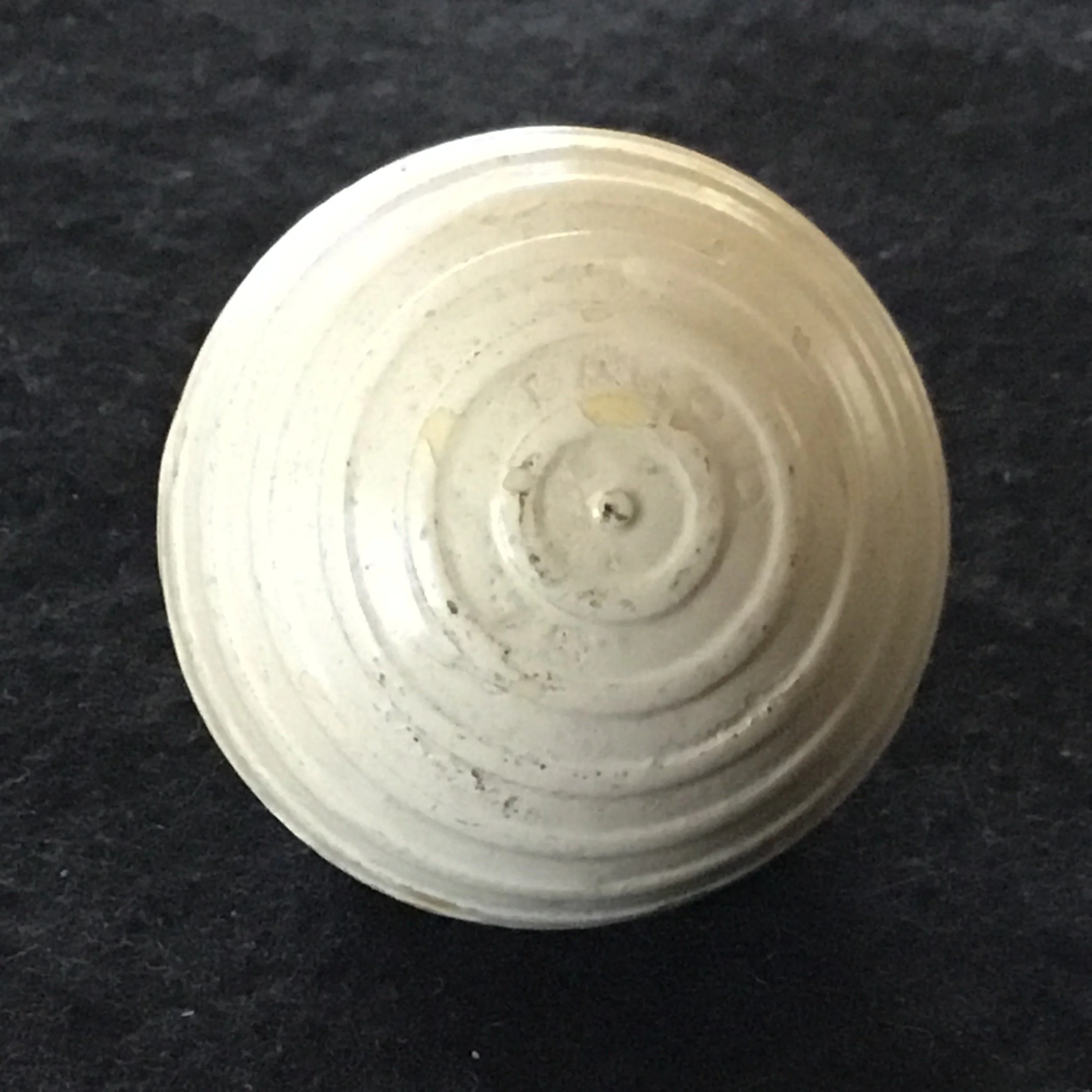 Faroid Gutta Percha Ball