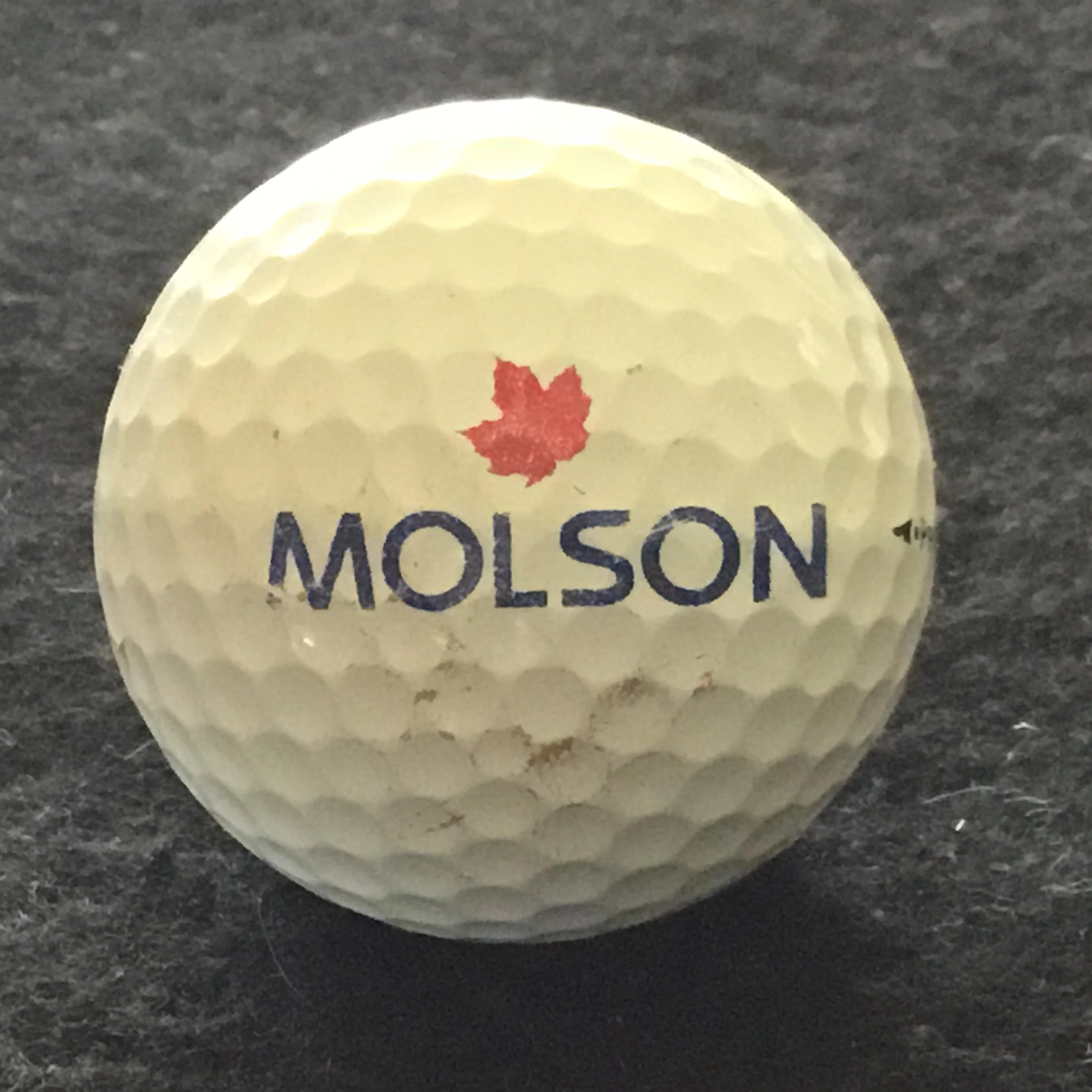 Molson Canadian Beer