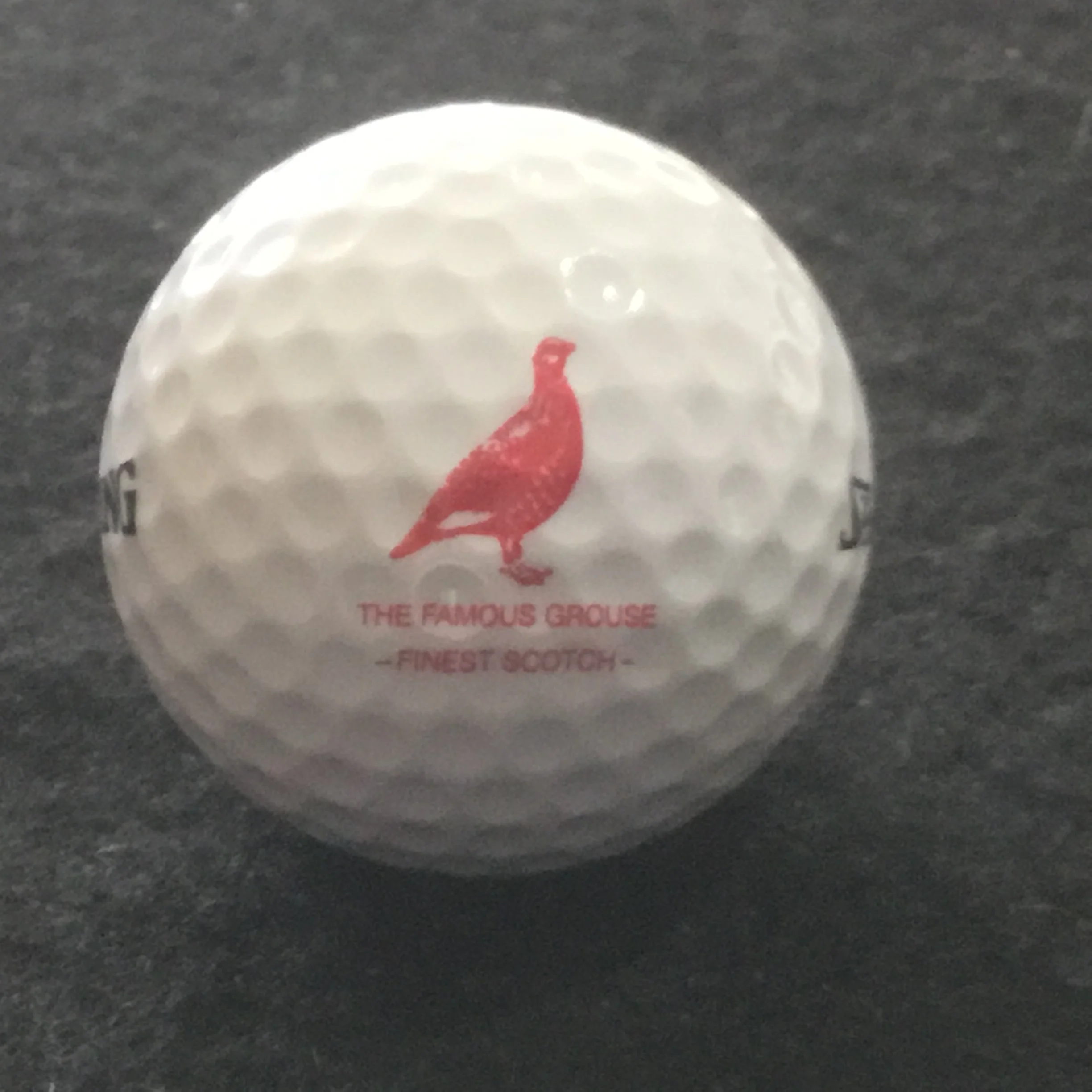 The Famous Grouse Scotch Whisky