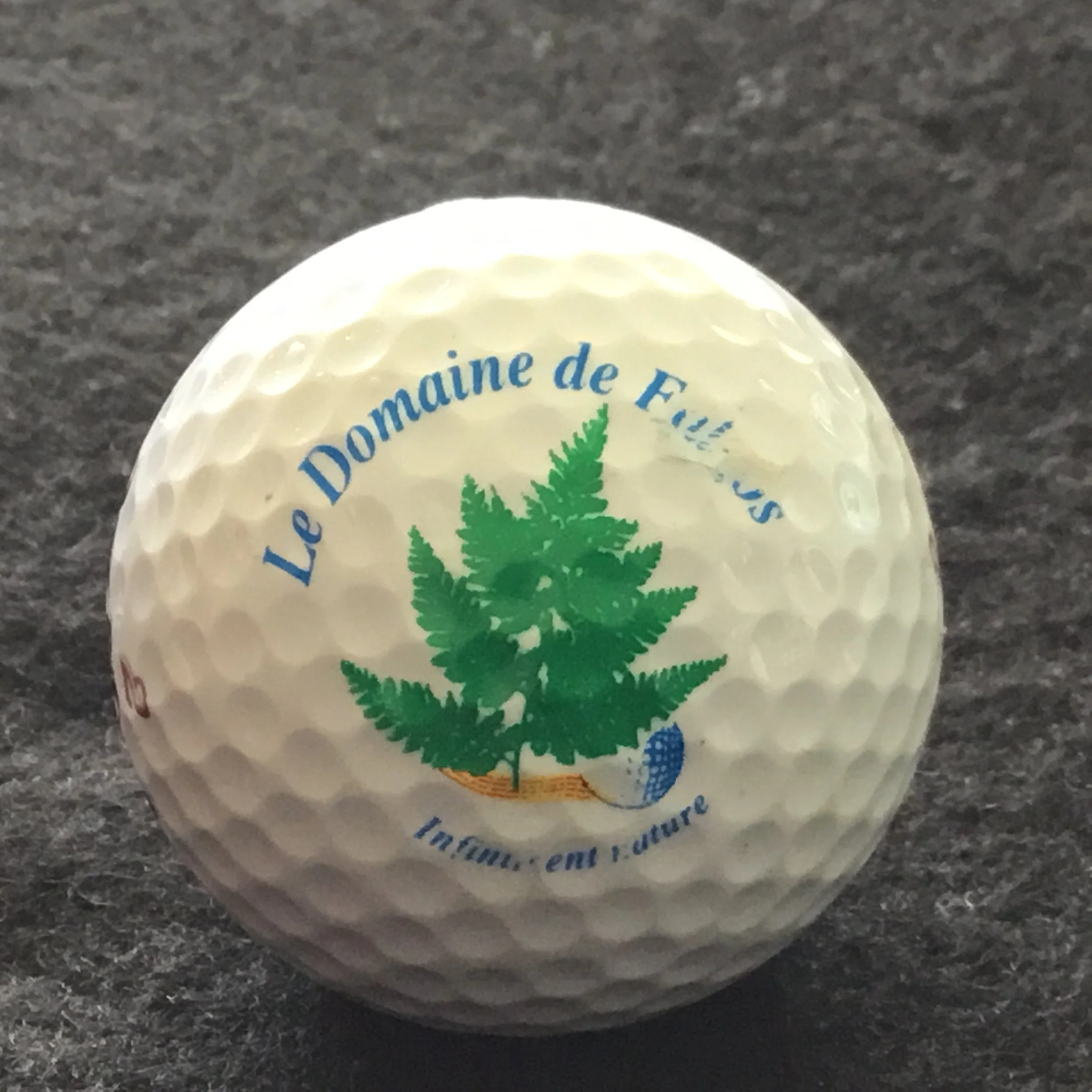 Domaine de Falgos - Le Domaine de Falgos Golf and Spa