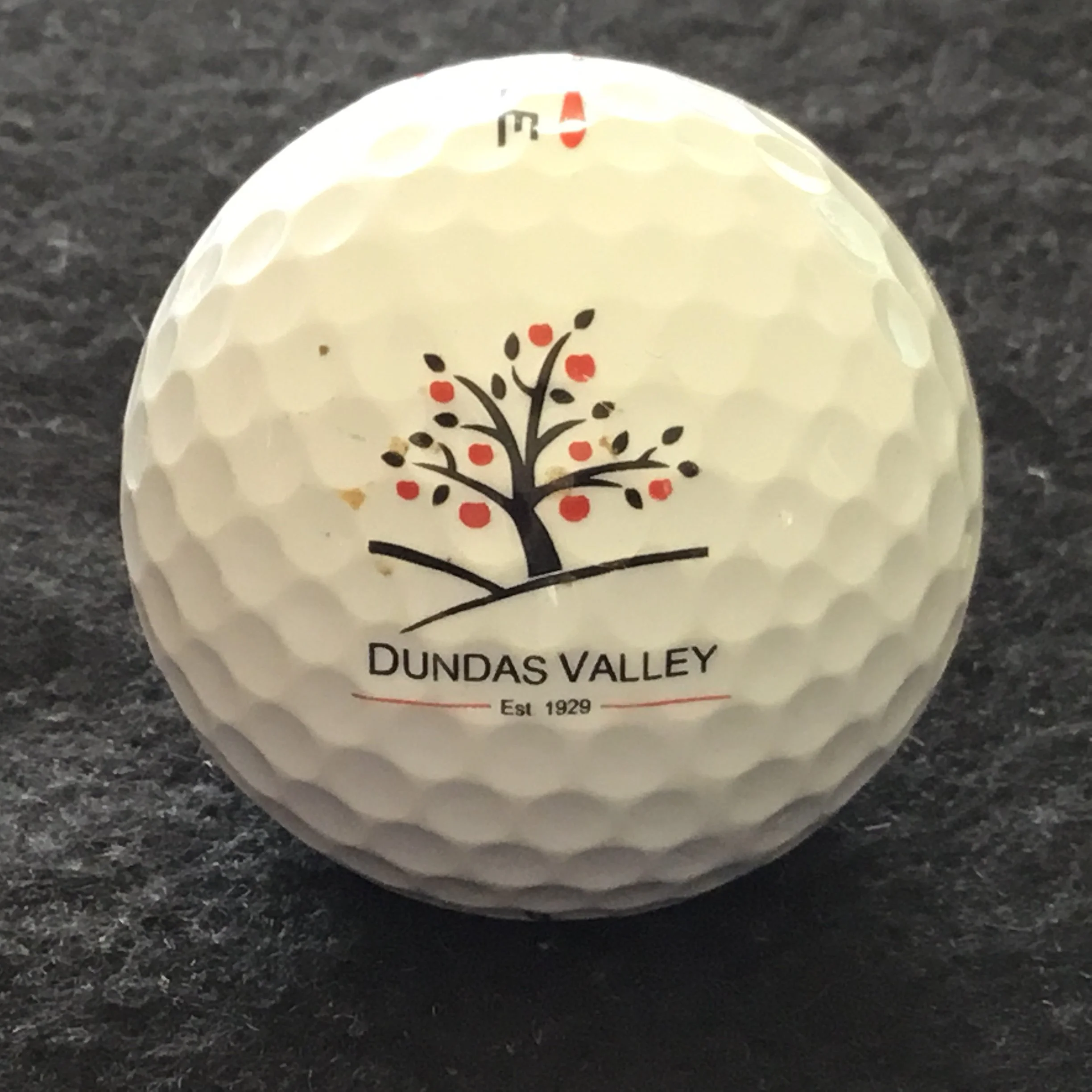 Dundas Valley Golf and Curling Club