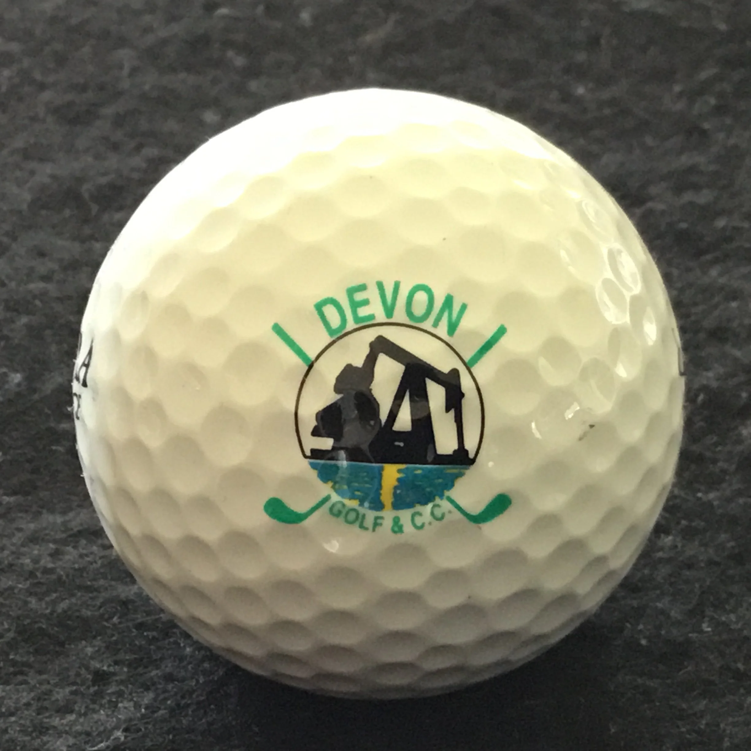 Devon Golf and Curling Club