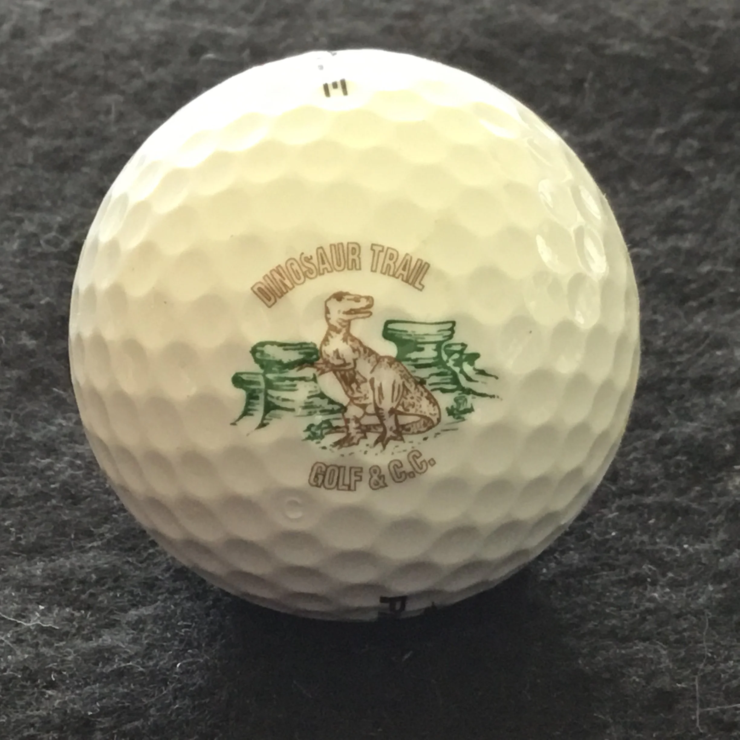 Dinosaur Trail Golf and Country Club