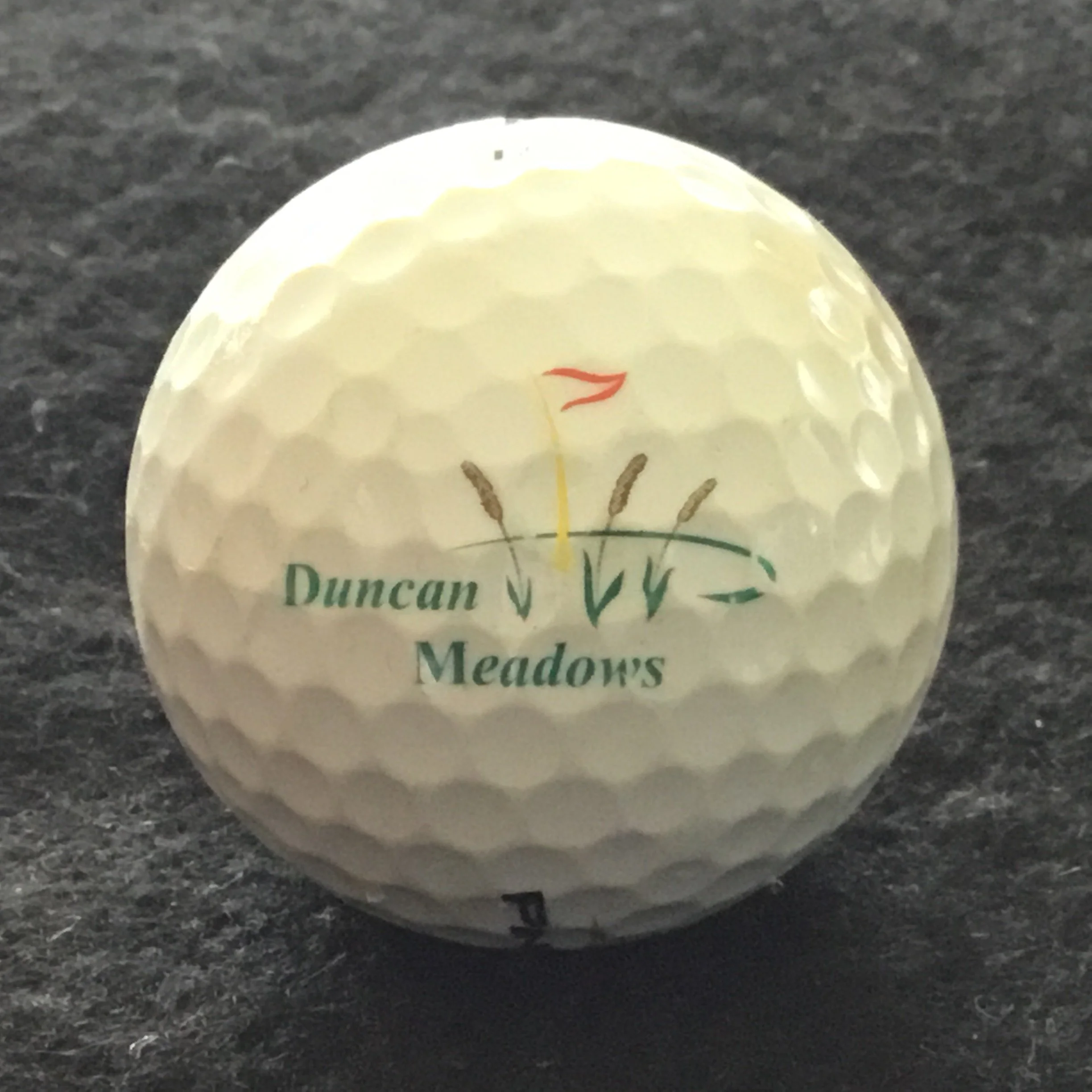 Duncan Meadows Golf Course