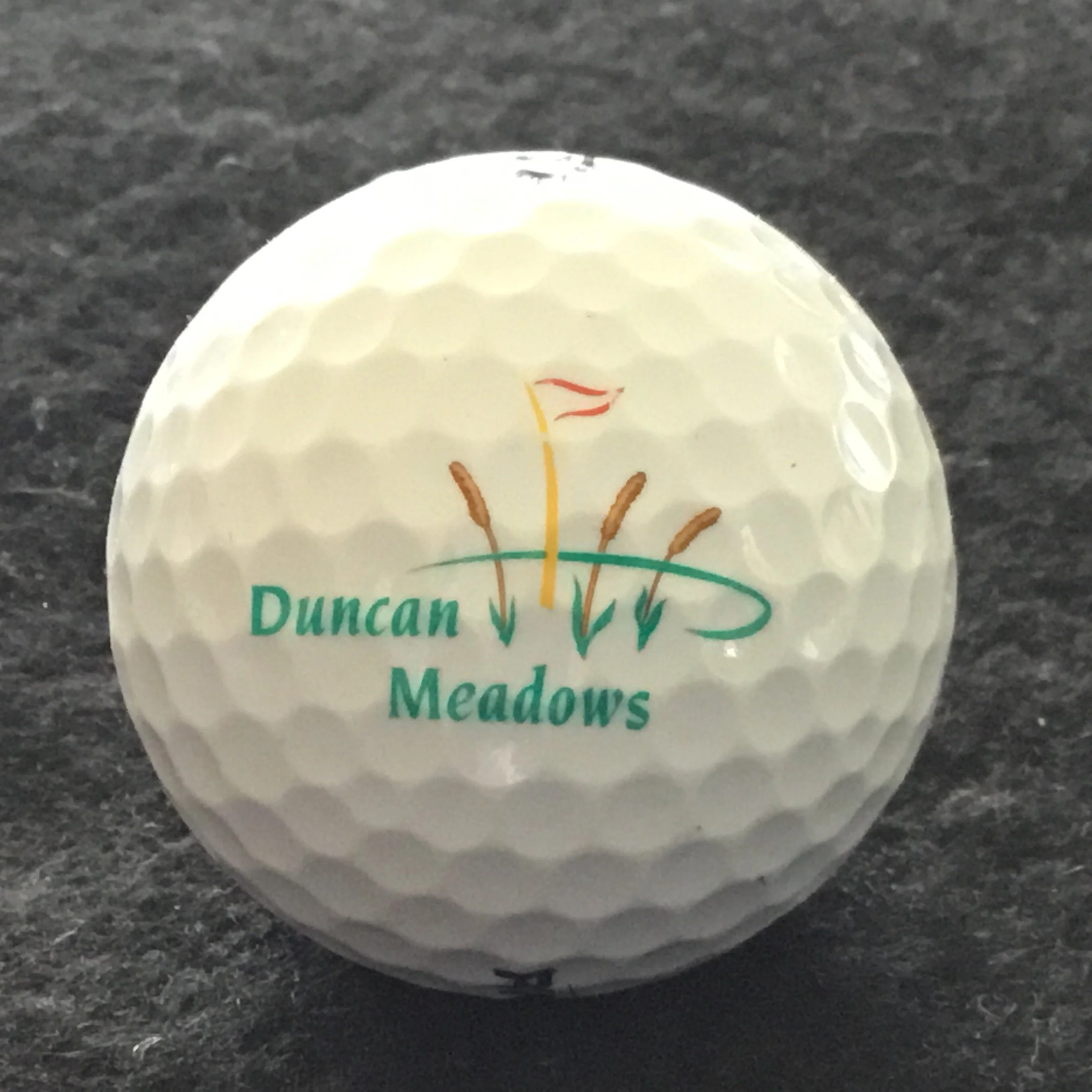 Duncan Meadows Golf Course