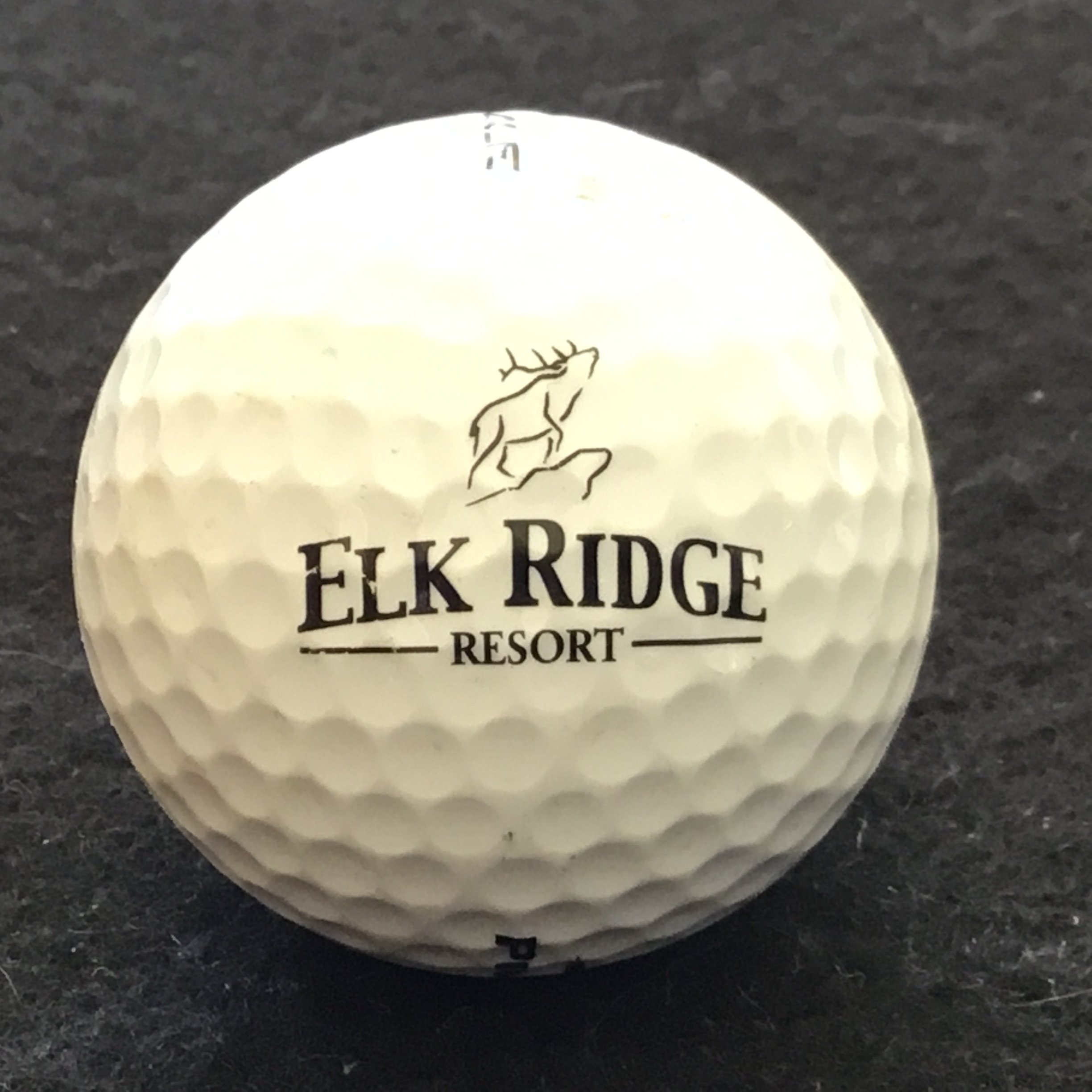 Elk Ridge Resort