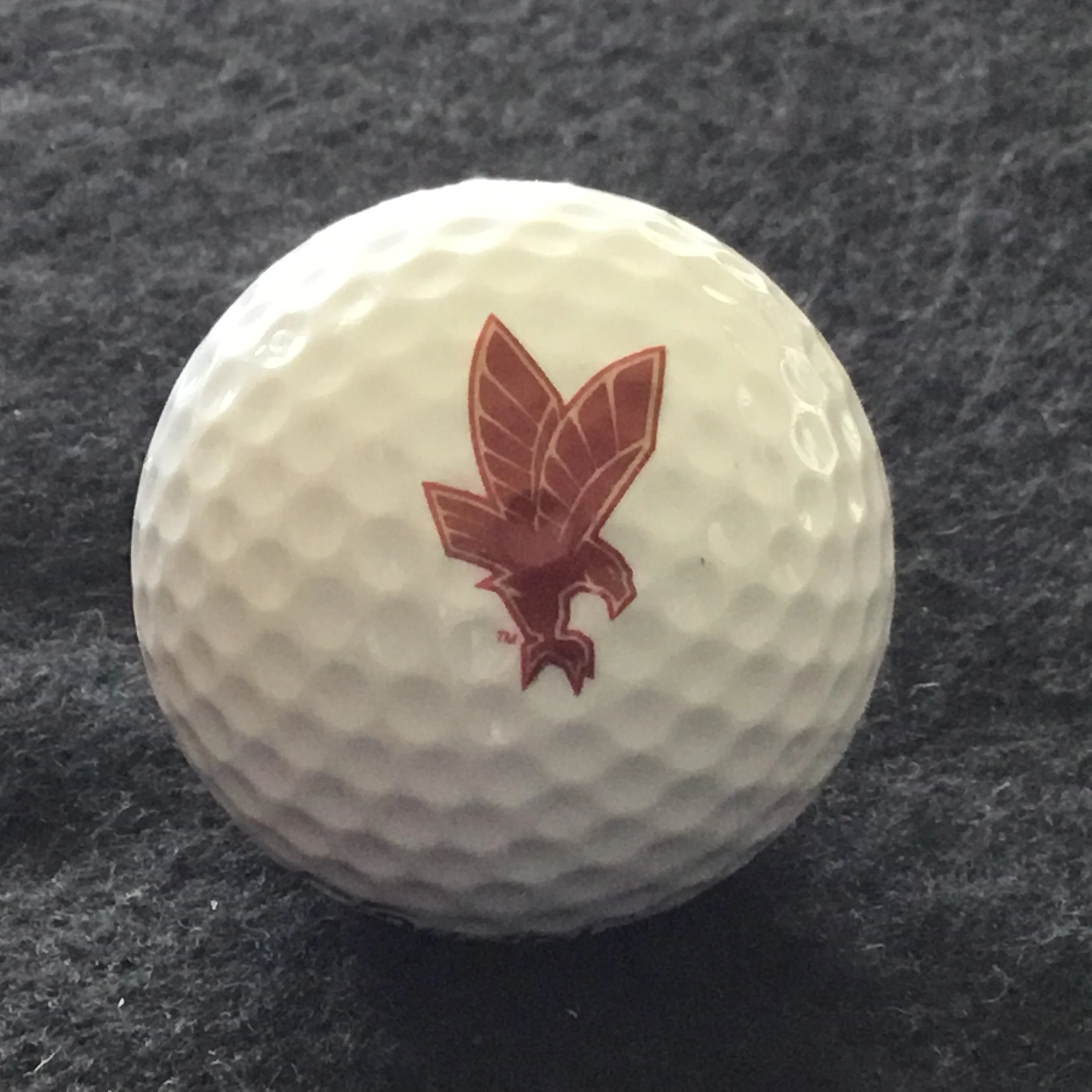 Eagles Landing Golf and Curling Club