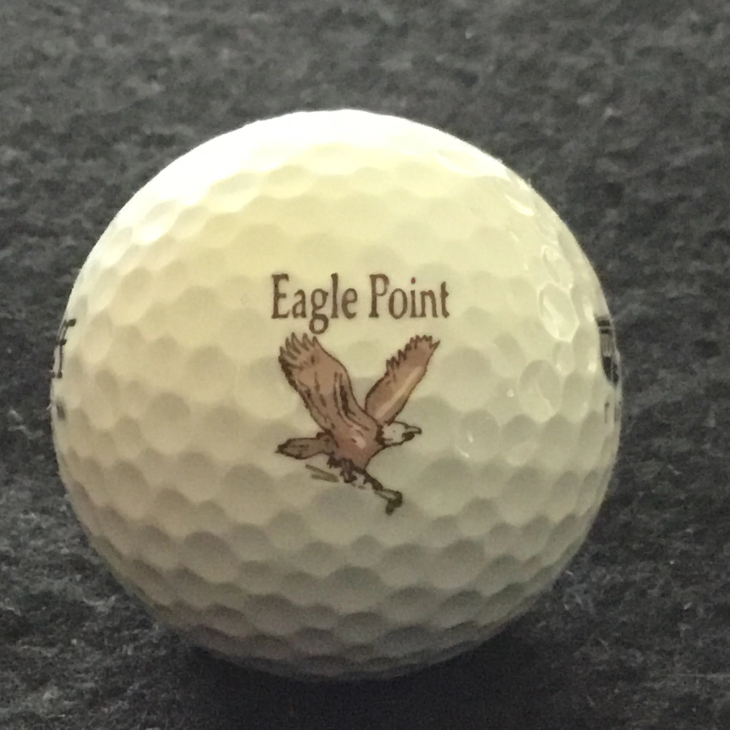 Eagle Point Golf Club