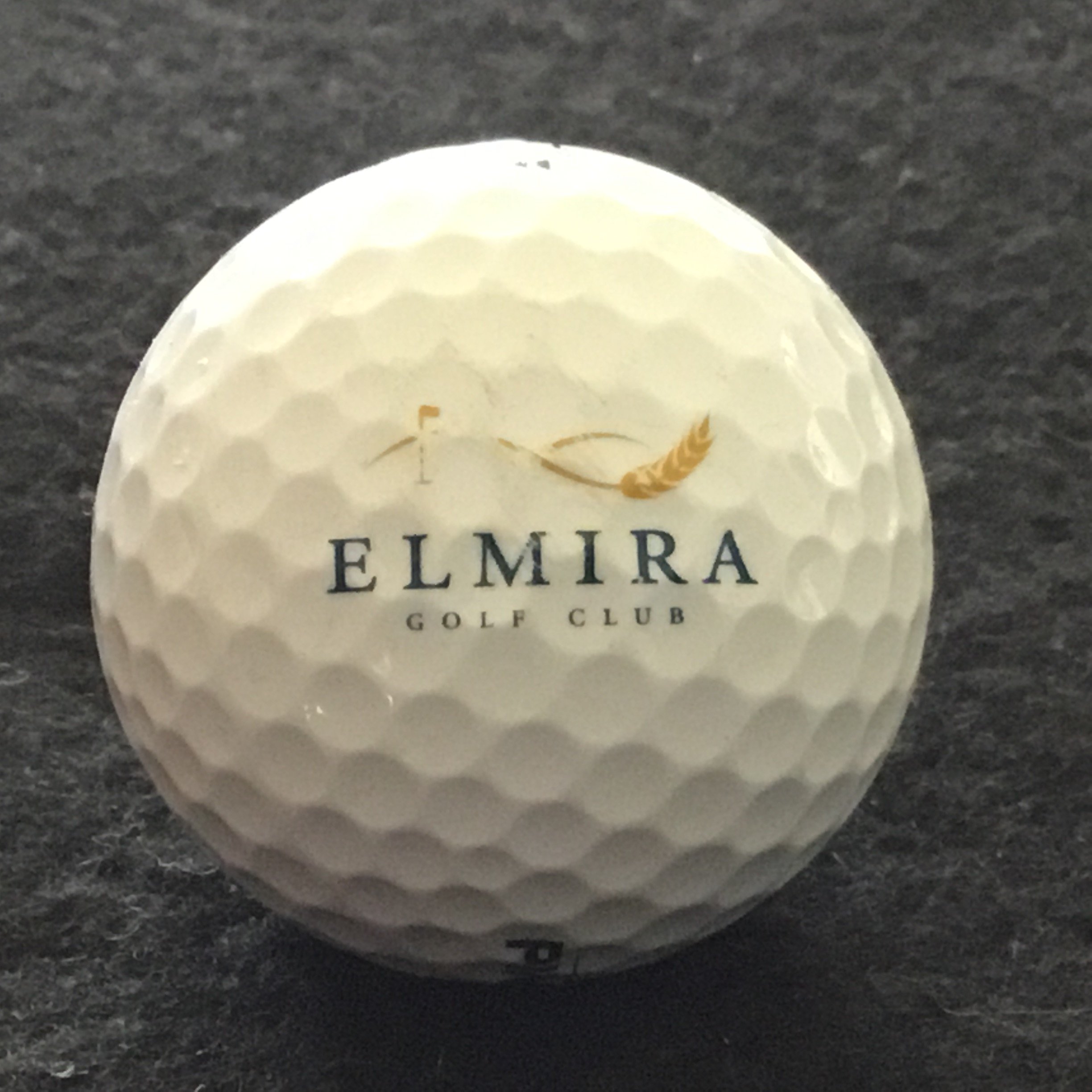 Elmira Golf Club
