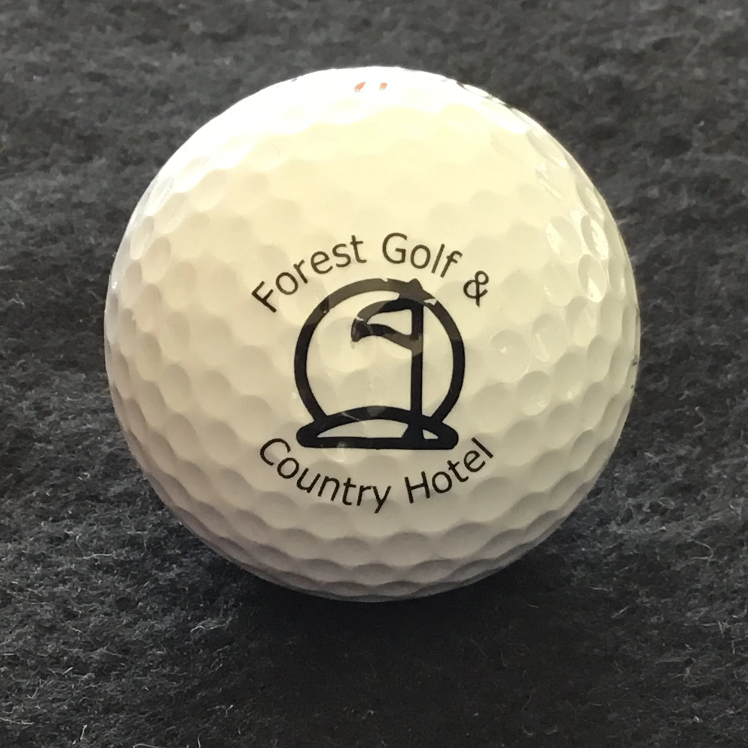 Forest Golf and Country Hotel