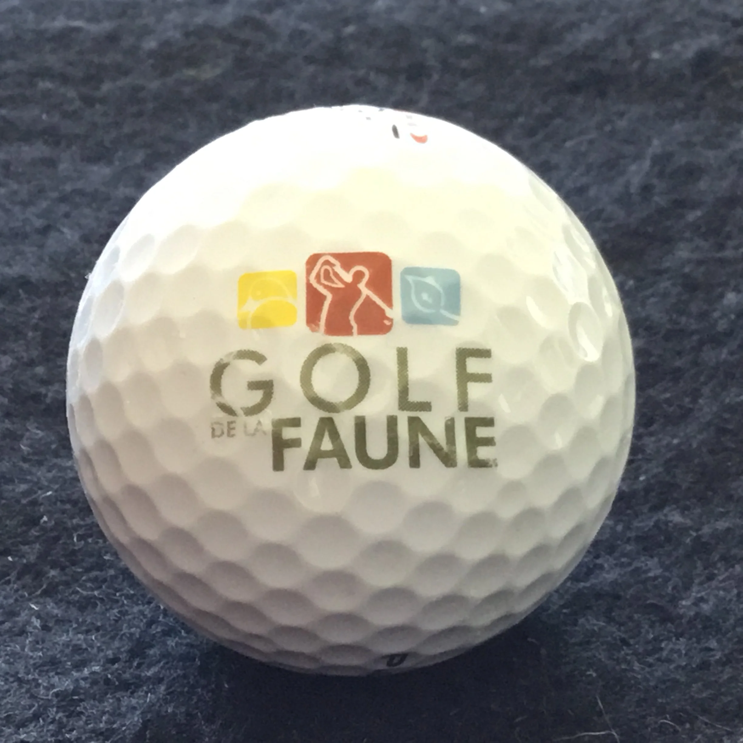 Faune- Golf de La Faune