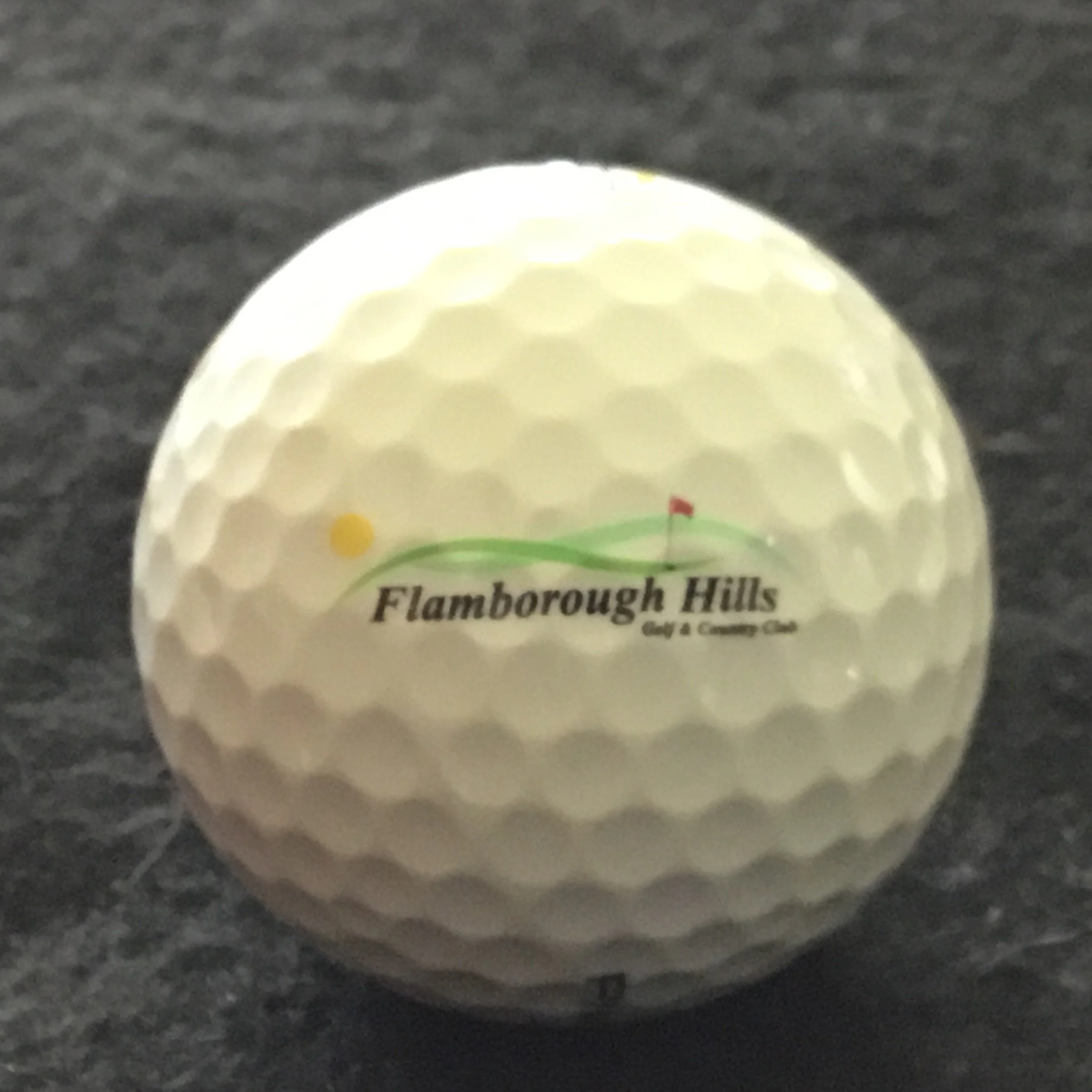 Flamborough Hills Golf and Country Club