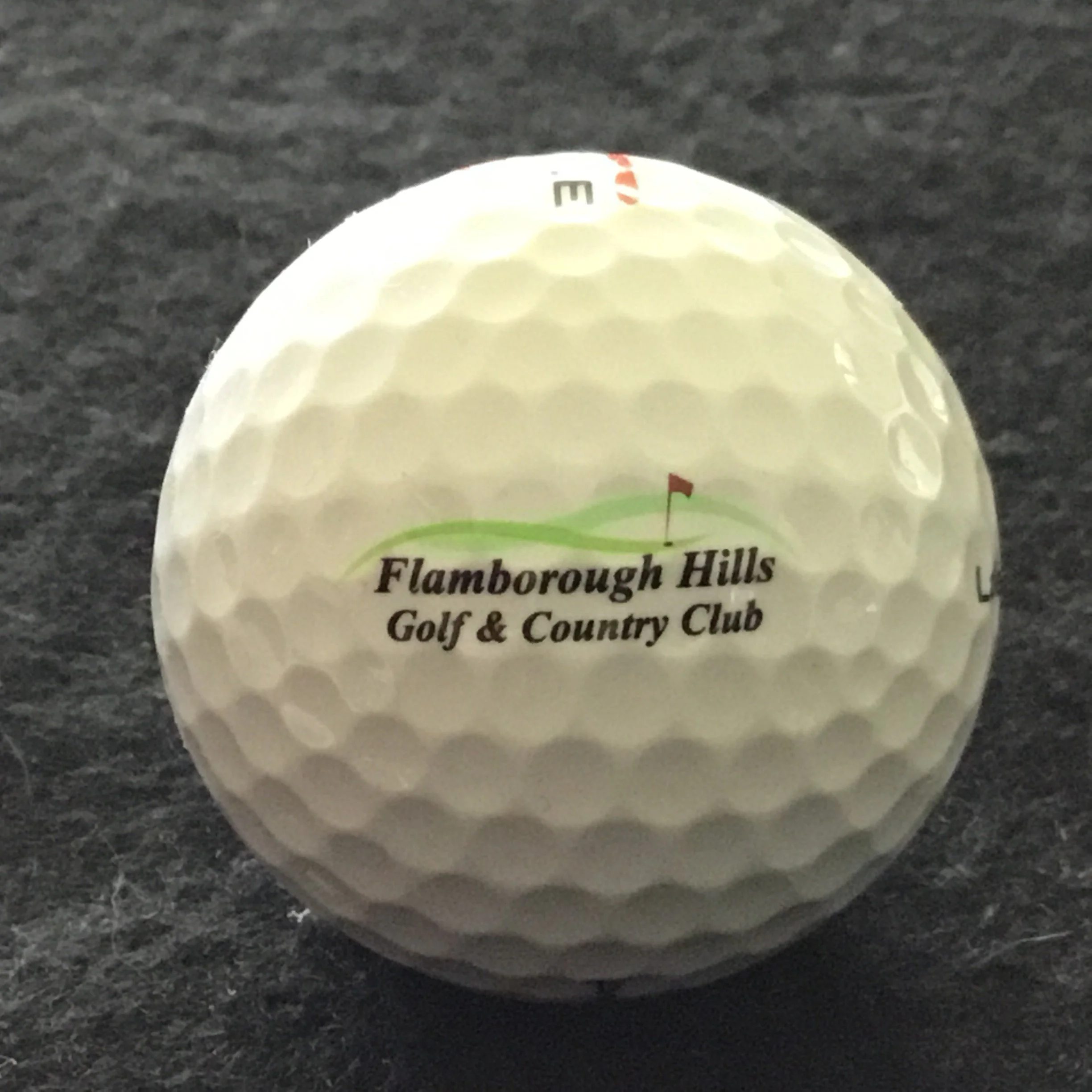 Flamborough Hills Golf and Country Club