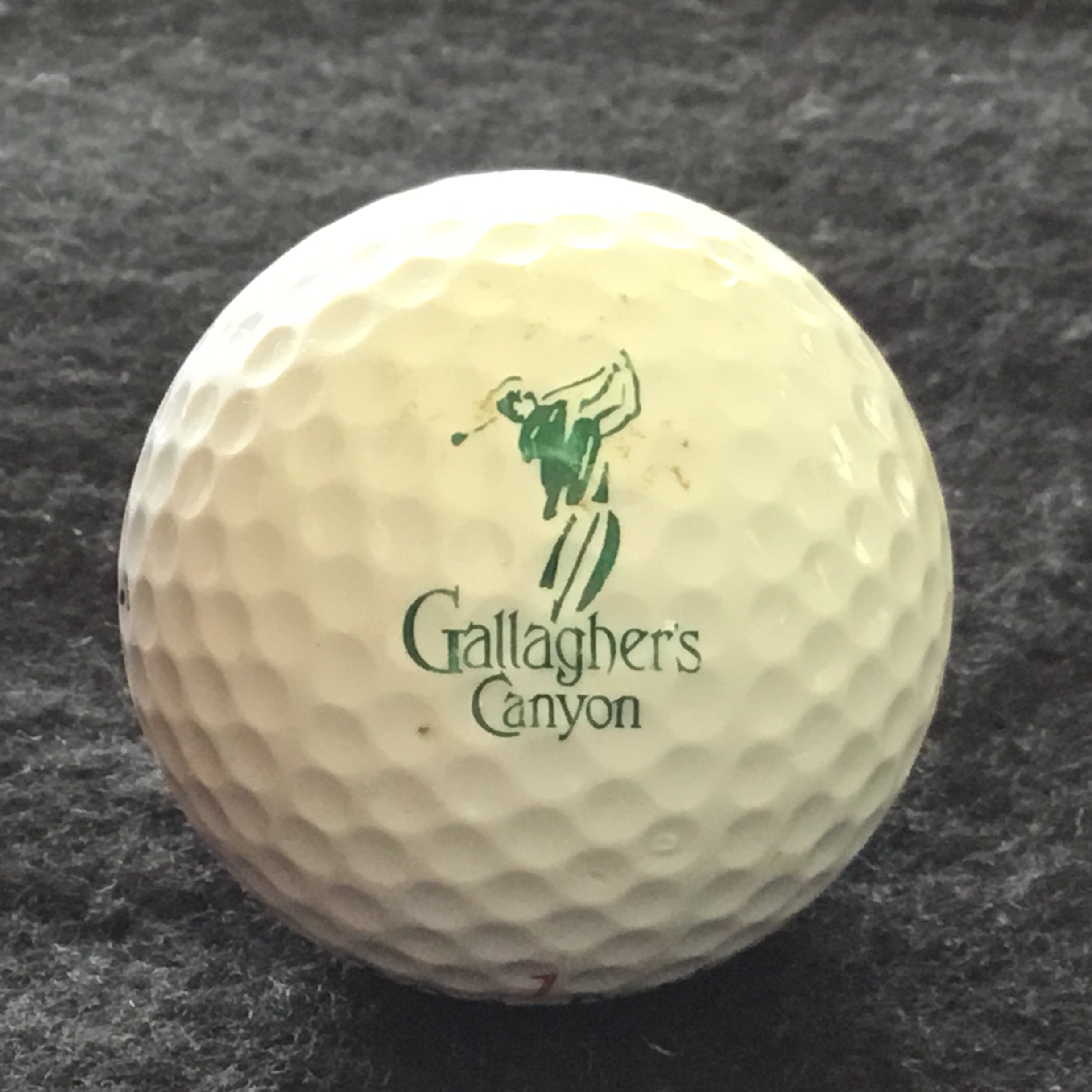 Gallaghers Canyon Golf and Country Club