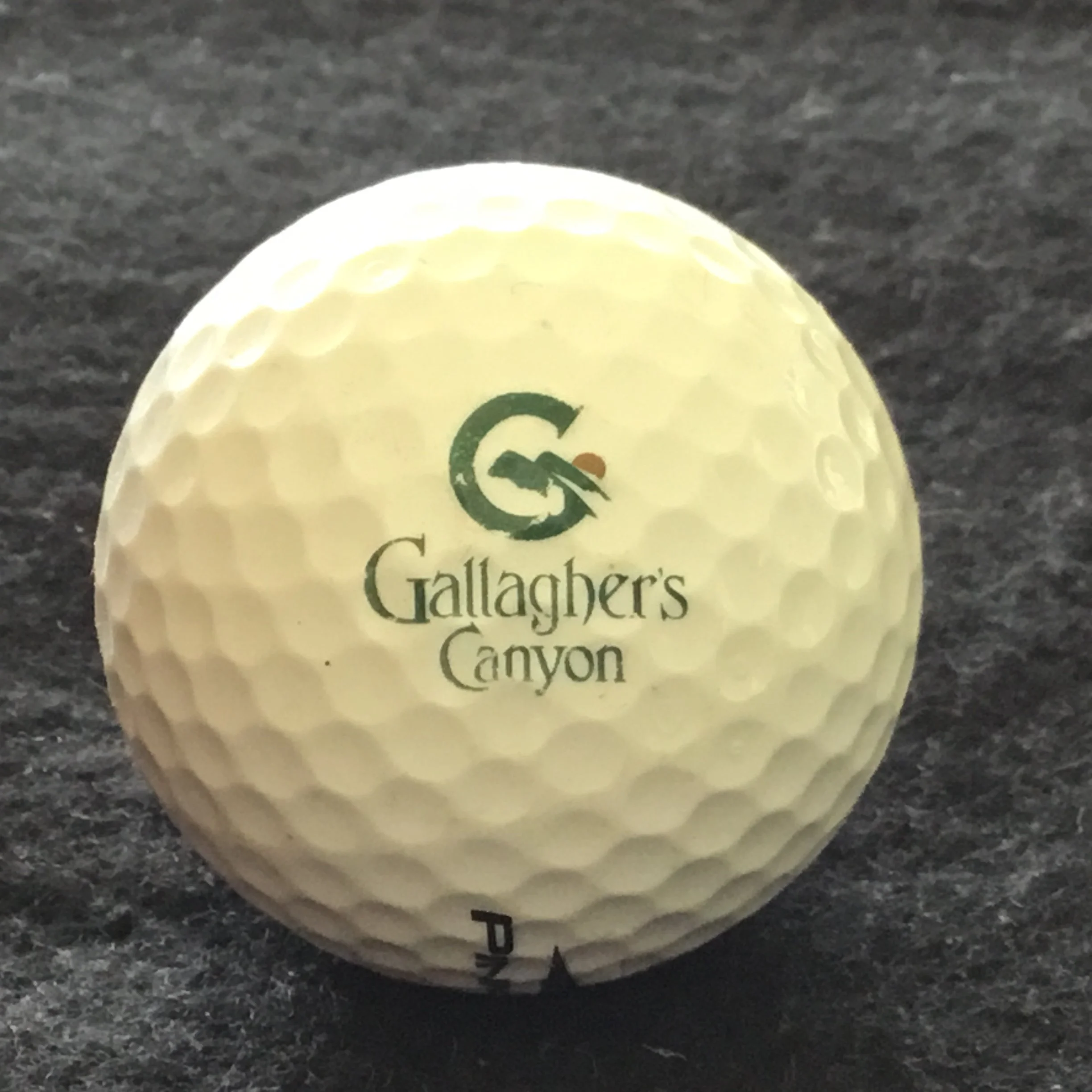 Gallaghers Canyon Golf and Country Club