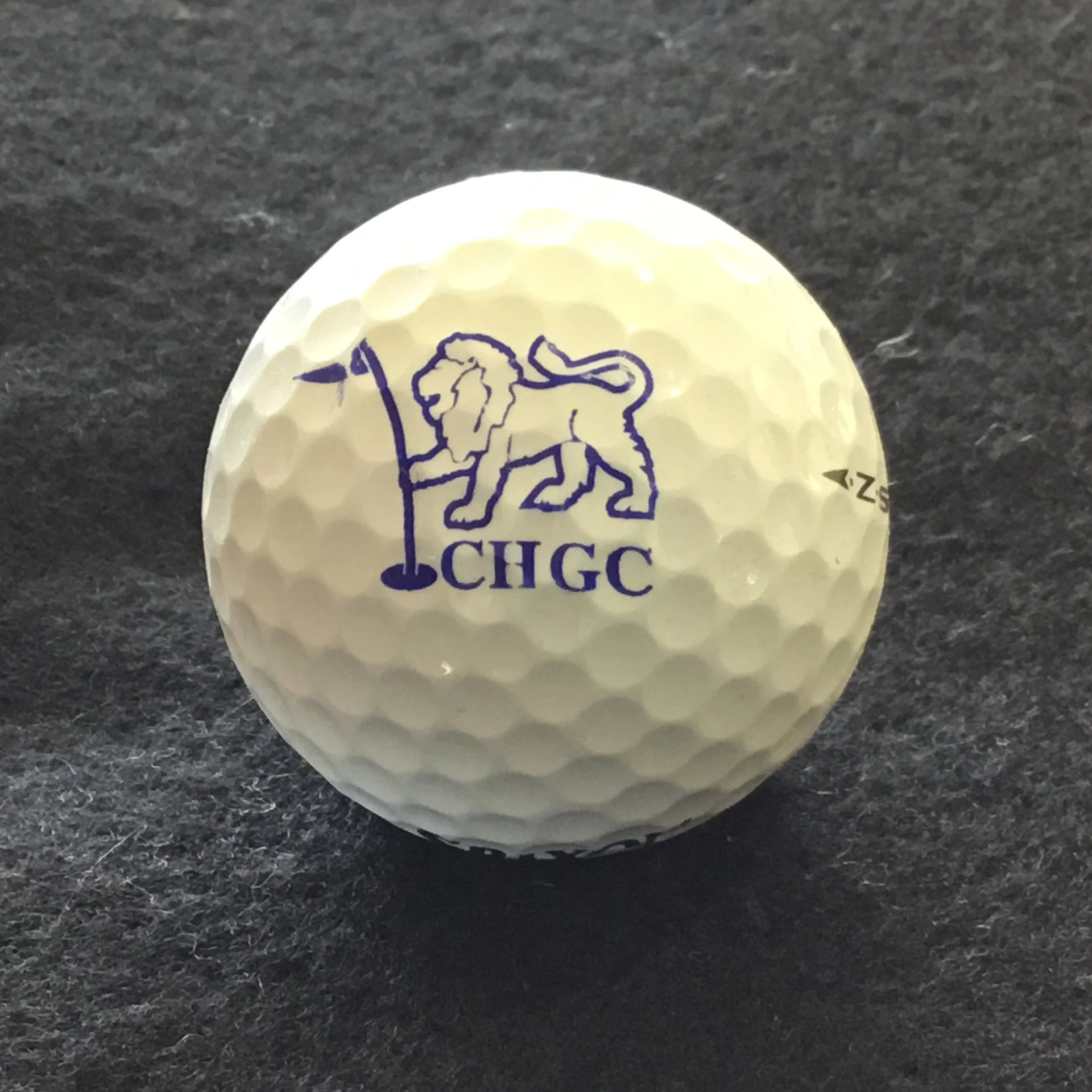 CHGC Lion Holding Pin