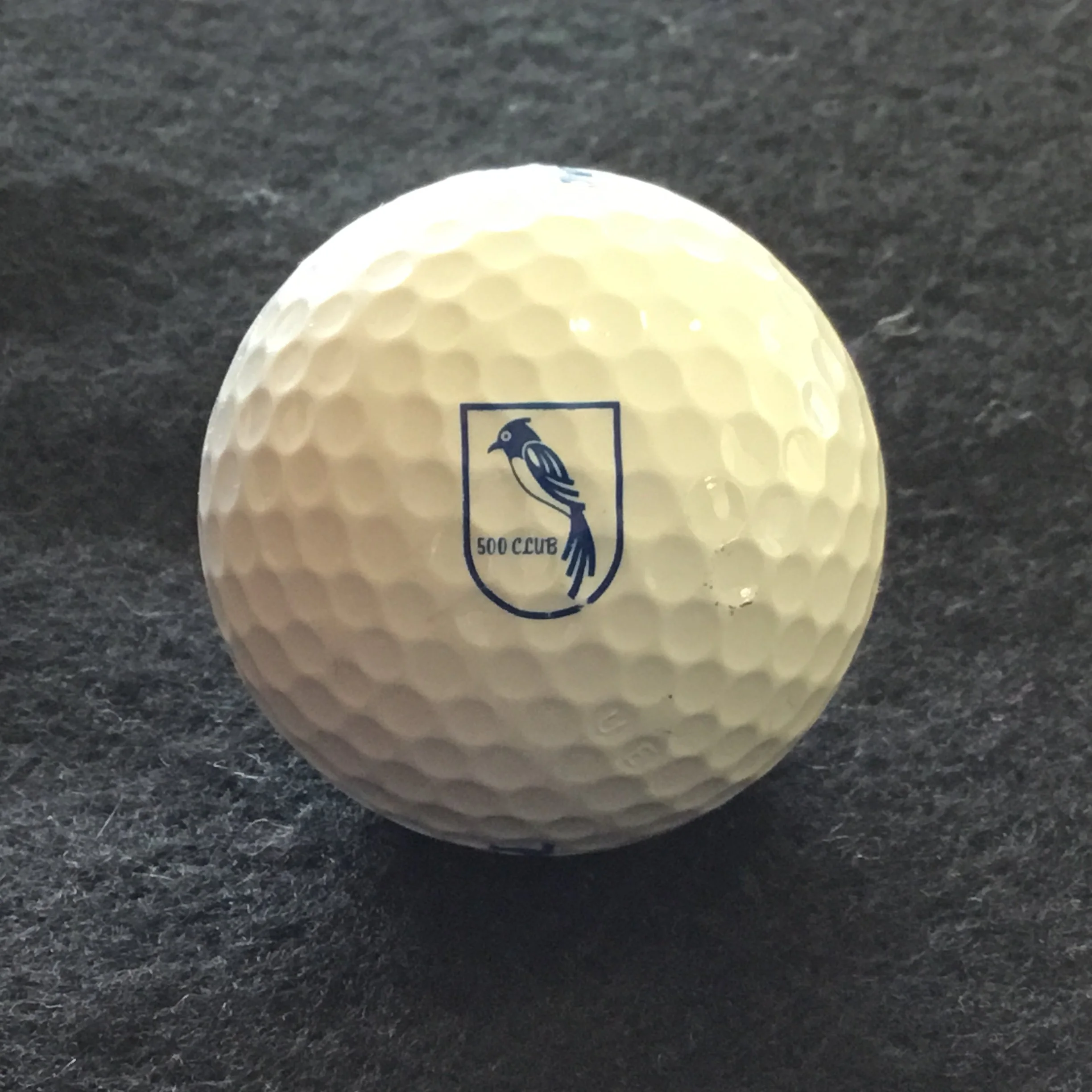 500 Club Bird in window