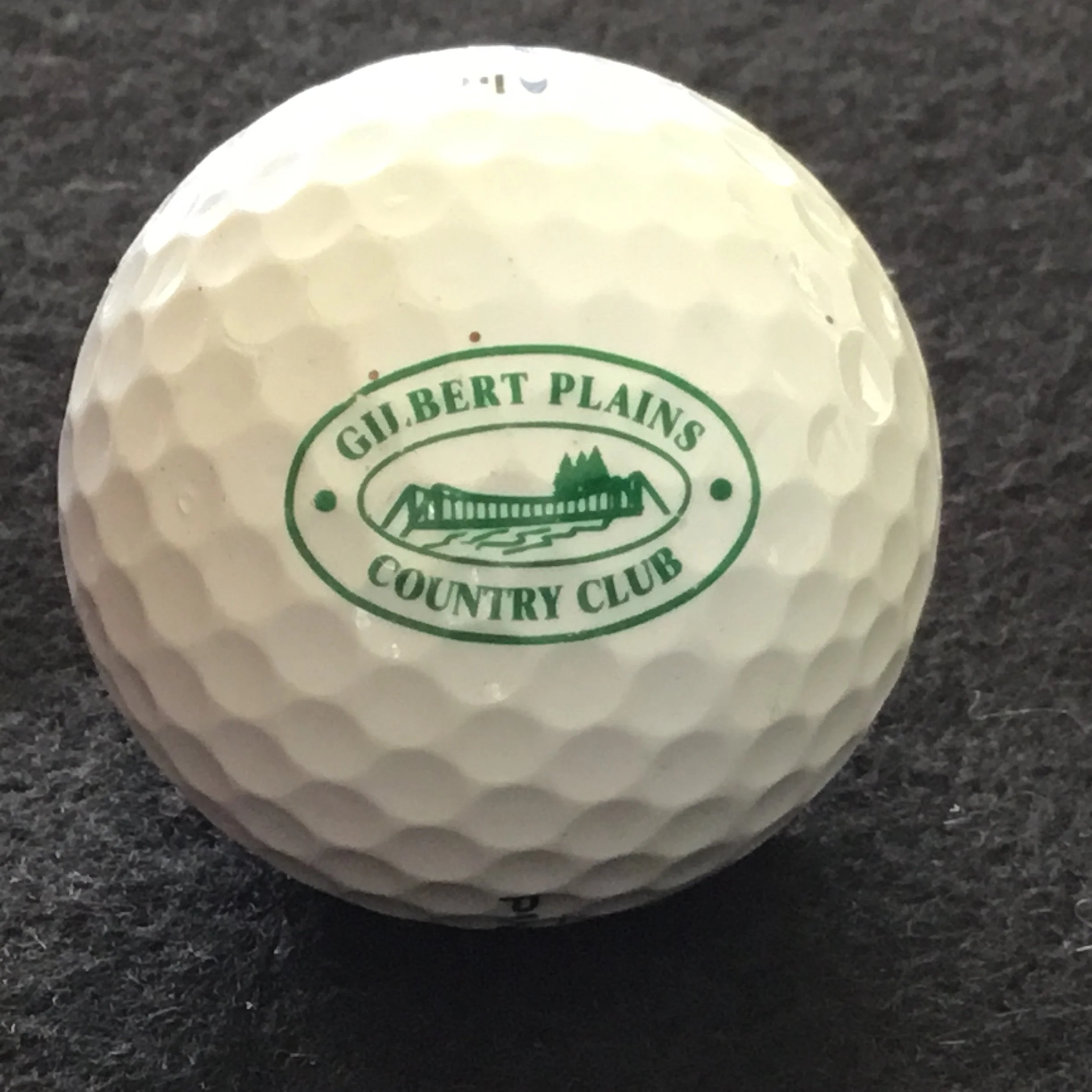 Gilbert Plains Country Club