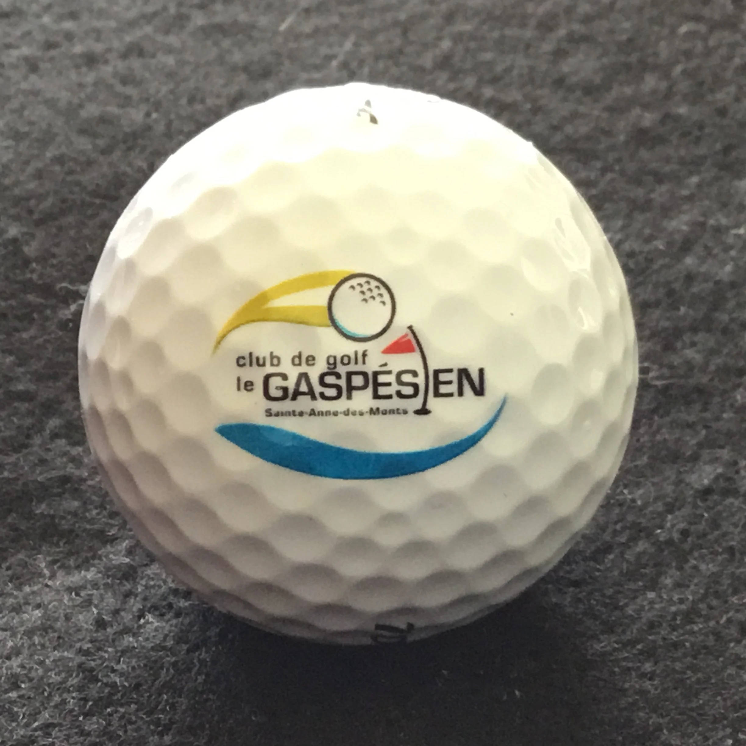 Gaspesien - Club de Golf Le Gaspesien