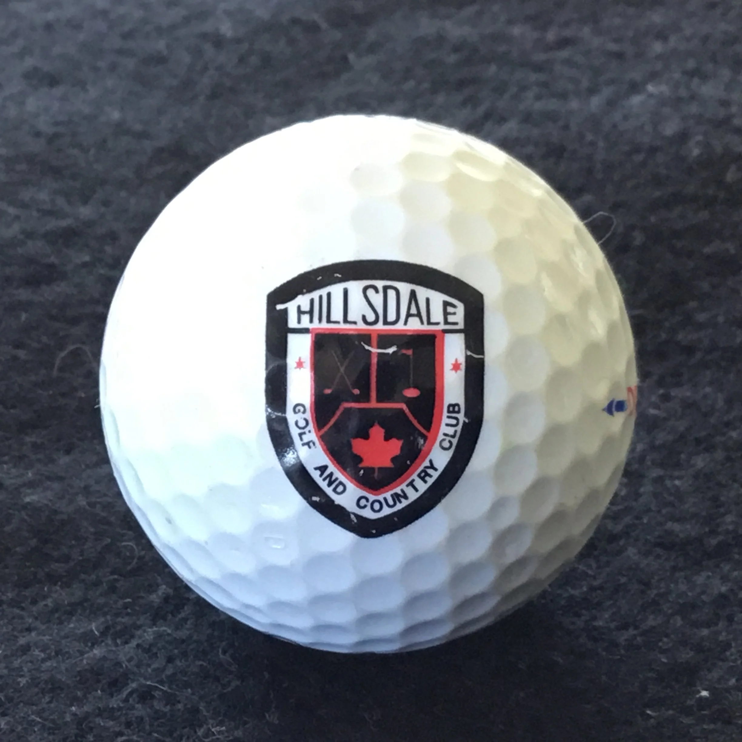 Hillsdale Golf and Country Club