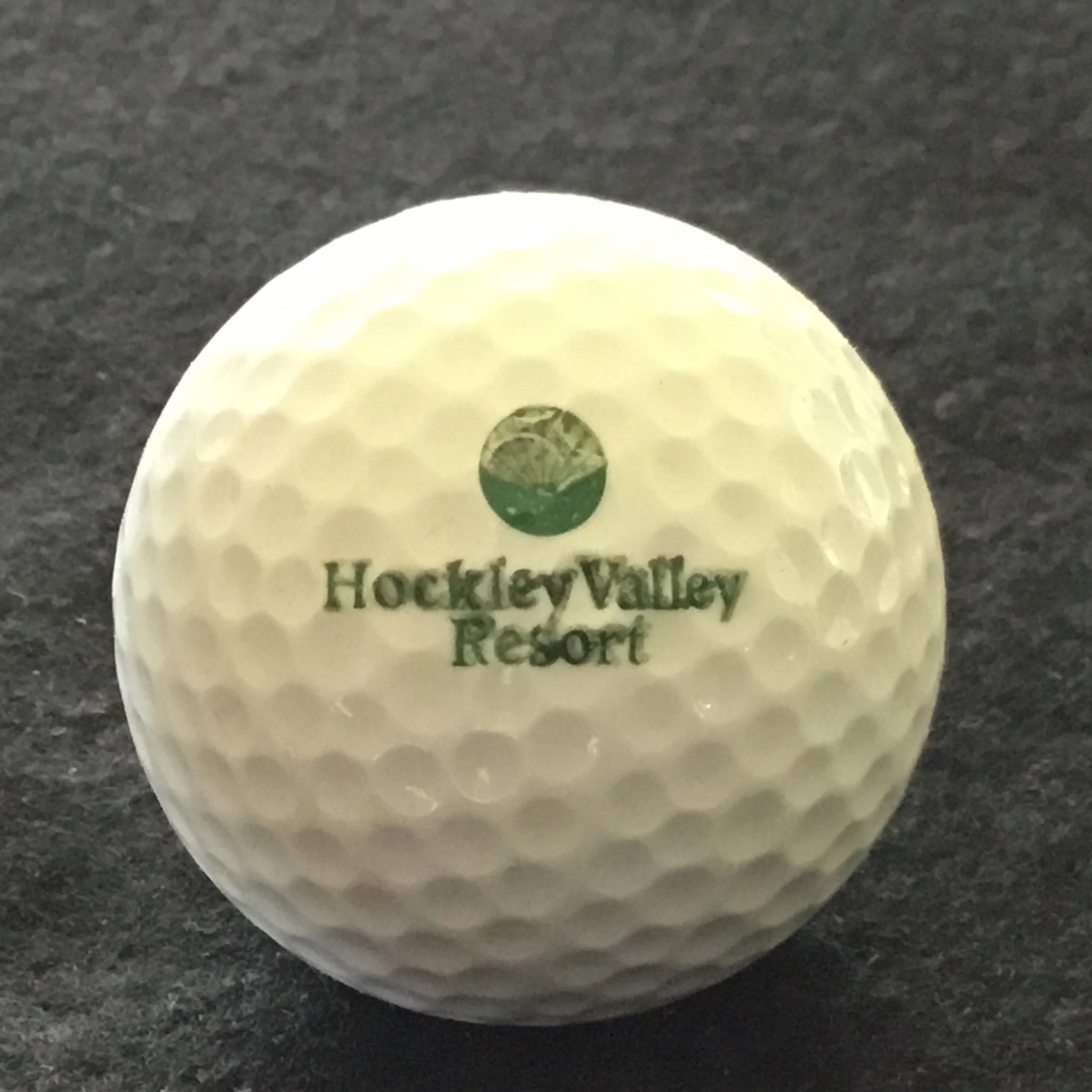 Hockley Valley Resort