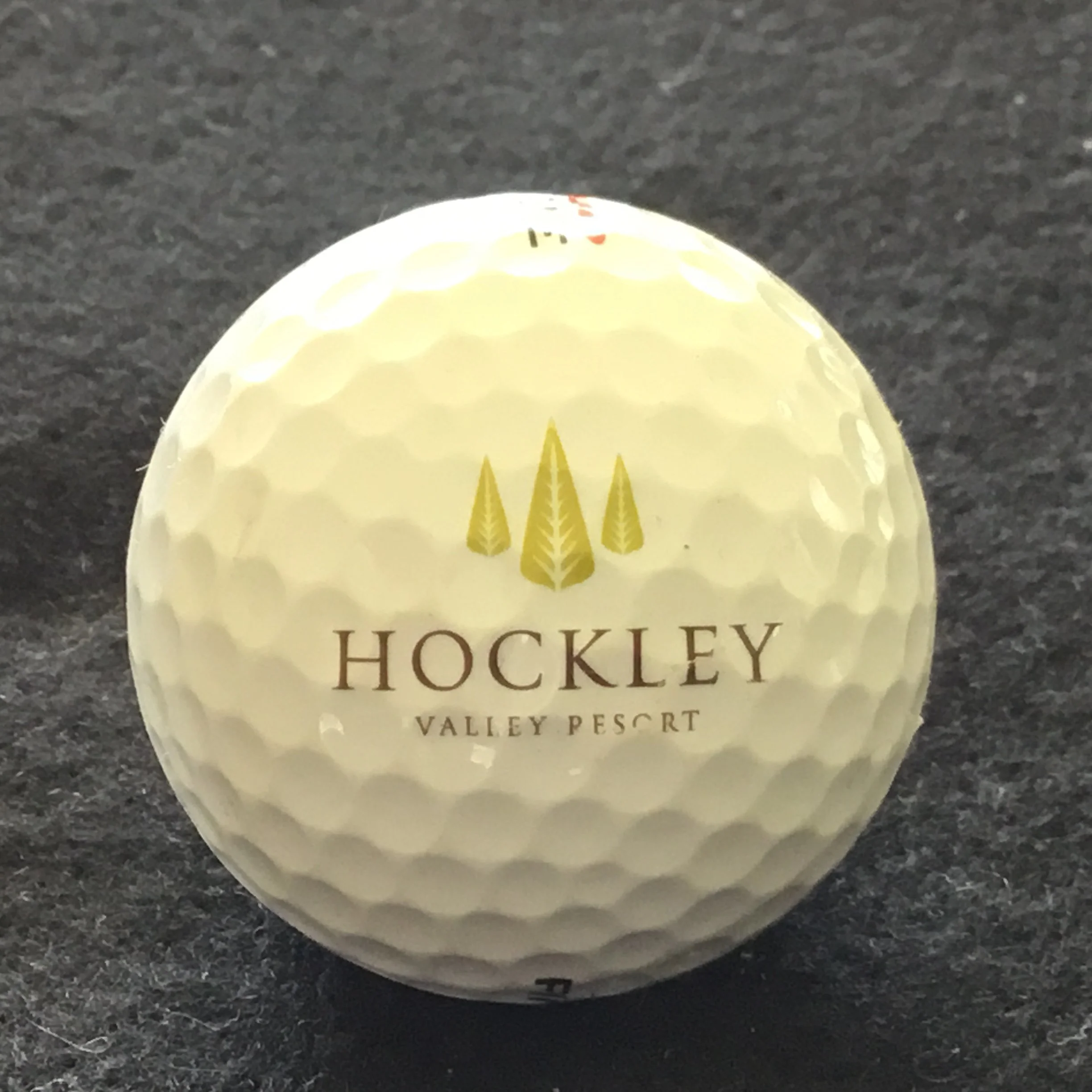 Hockley Valley Resort