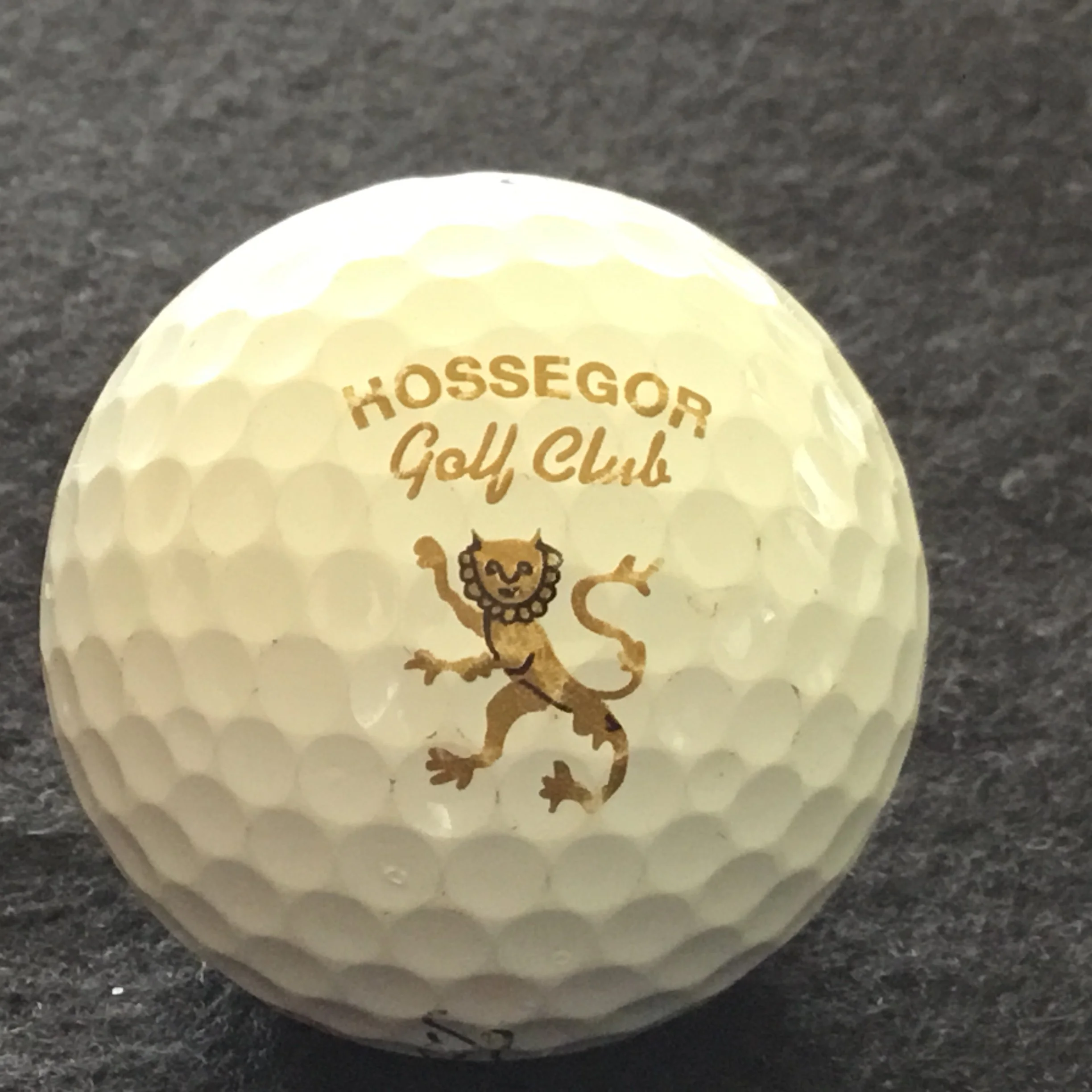 Hossegor Golf Club