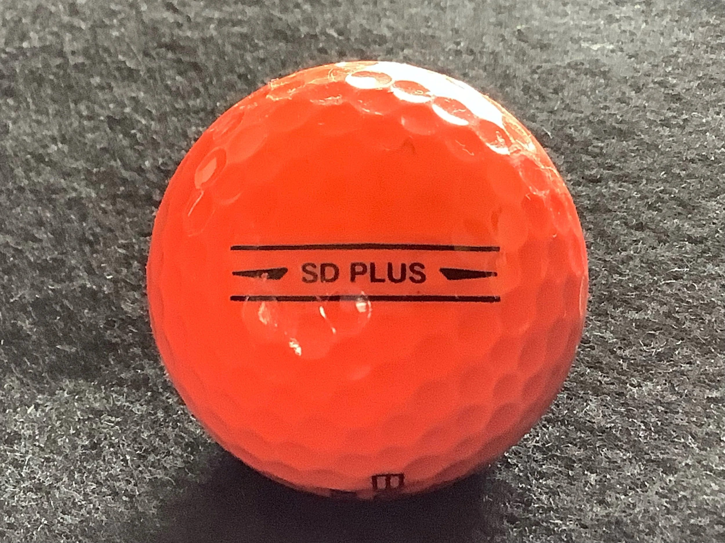 BIG YARD - SD Plus
