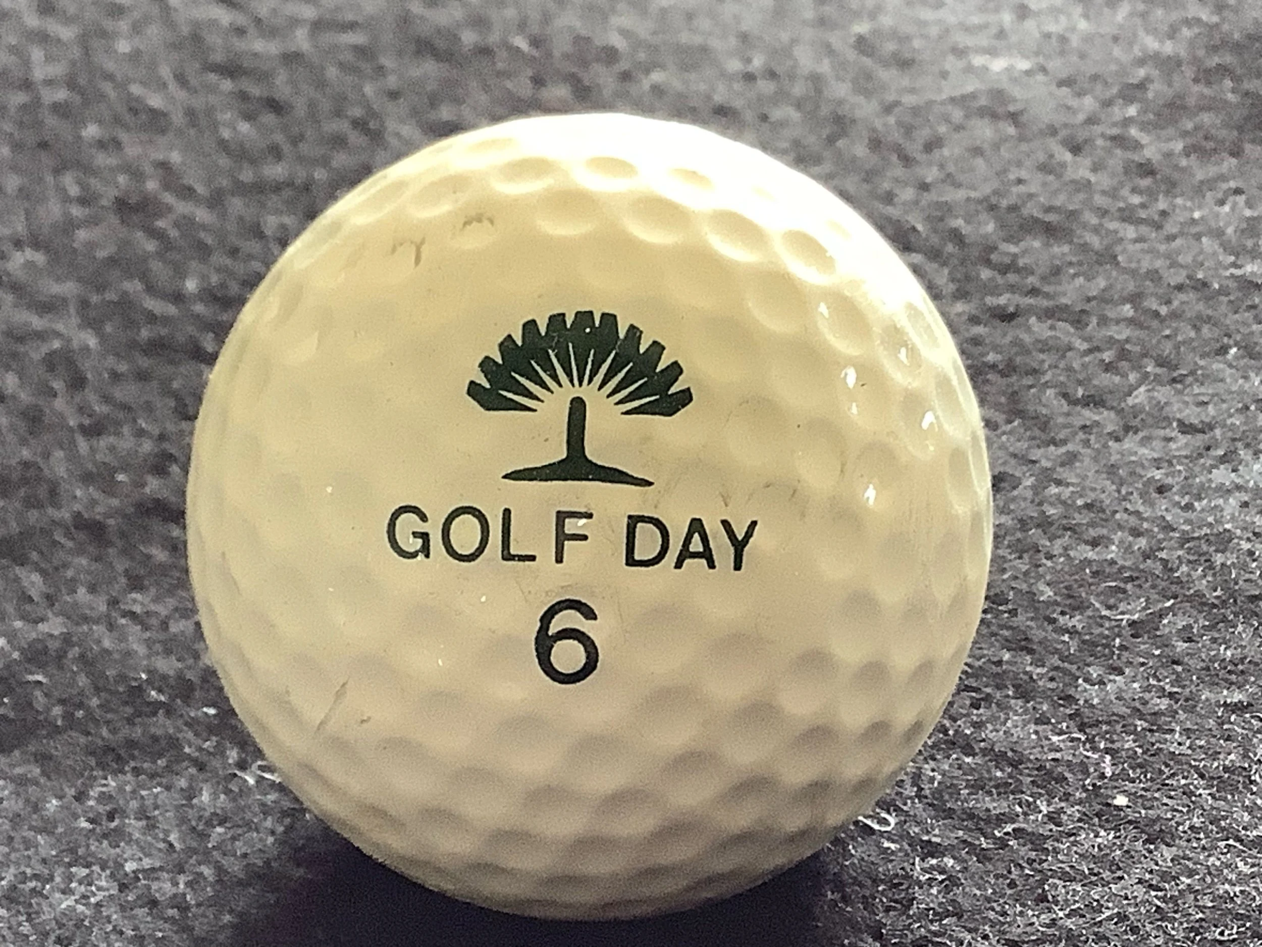 Golf Day
