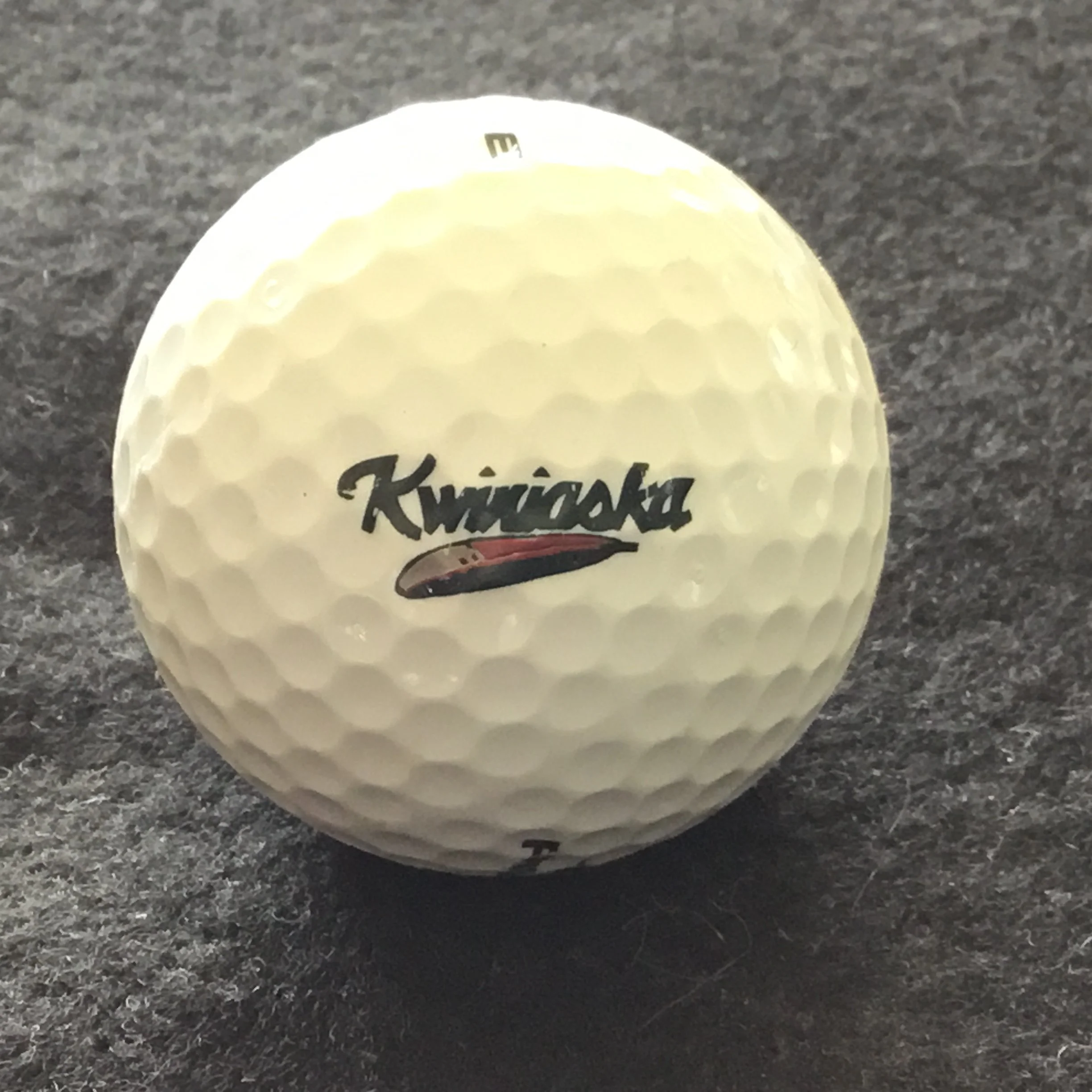 Kwiniaska Golf Course