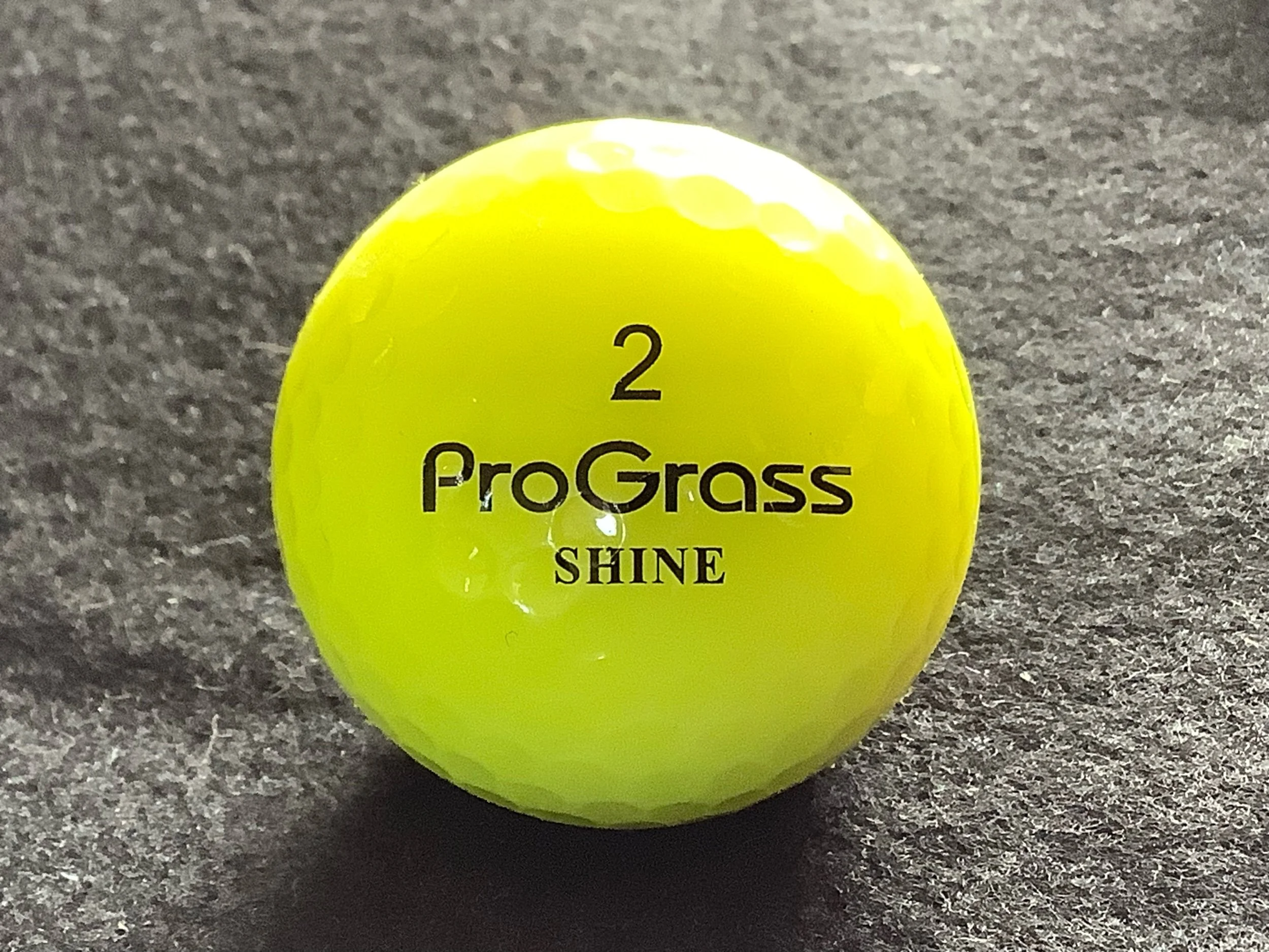 ProGrass - Shine