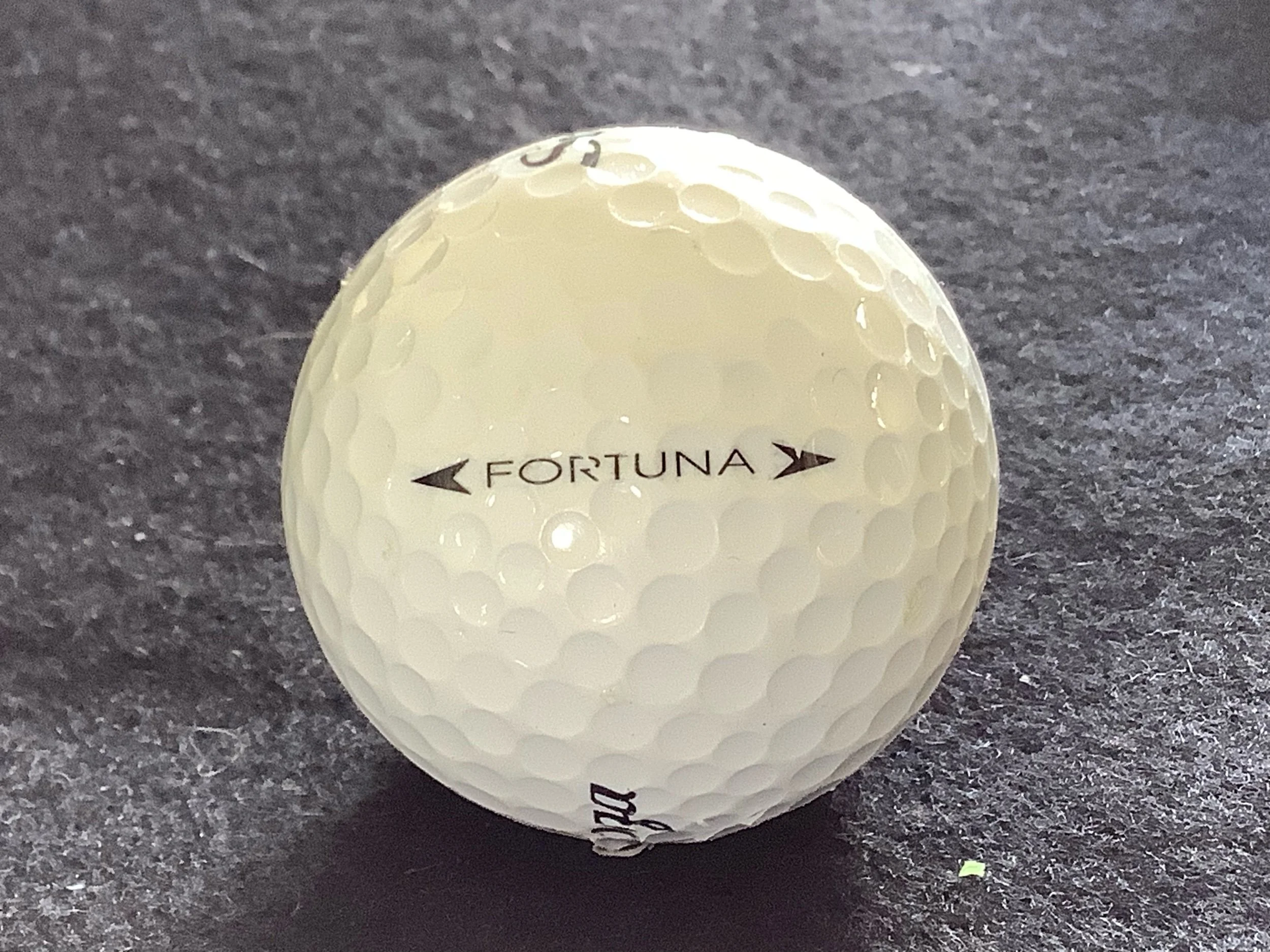 Saratoga - Fortuna