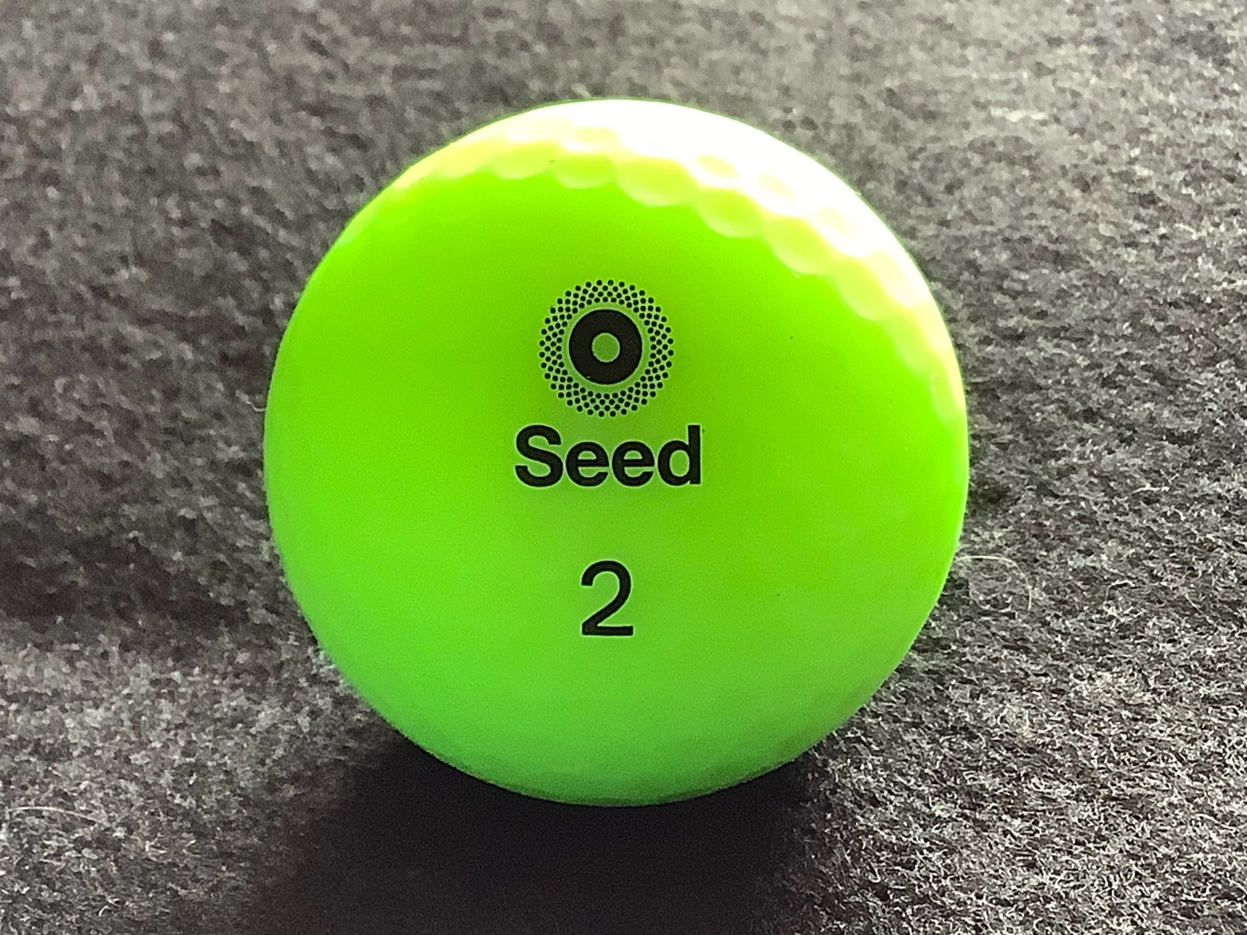 Seed