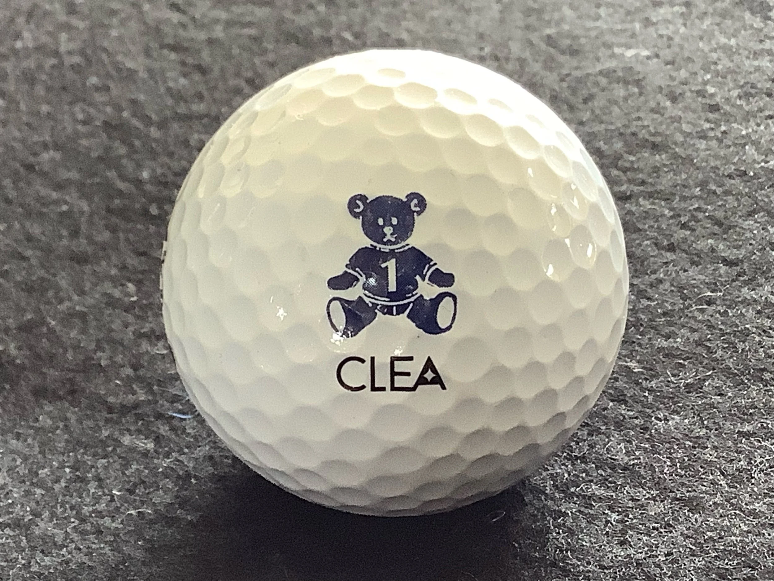Wilson Clea