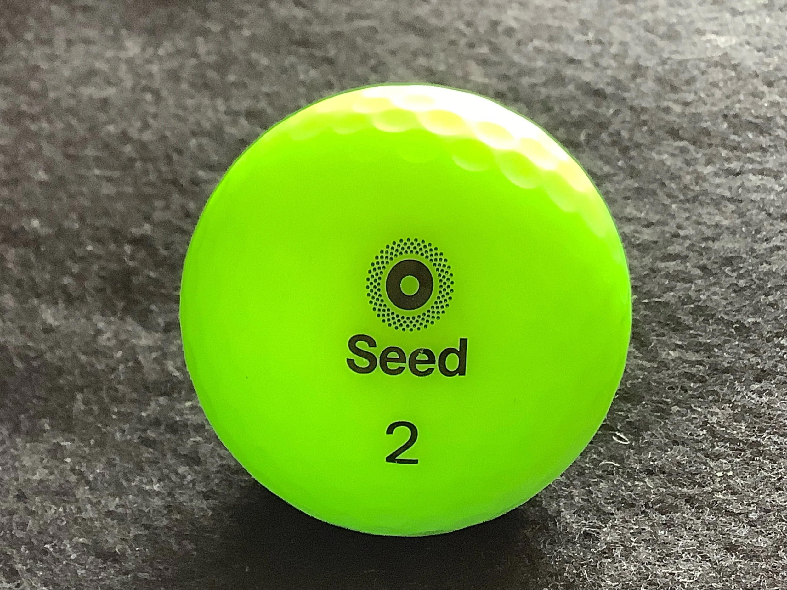 Seed