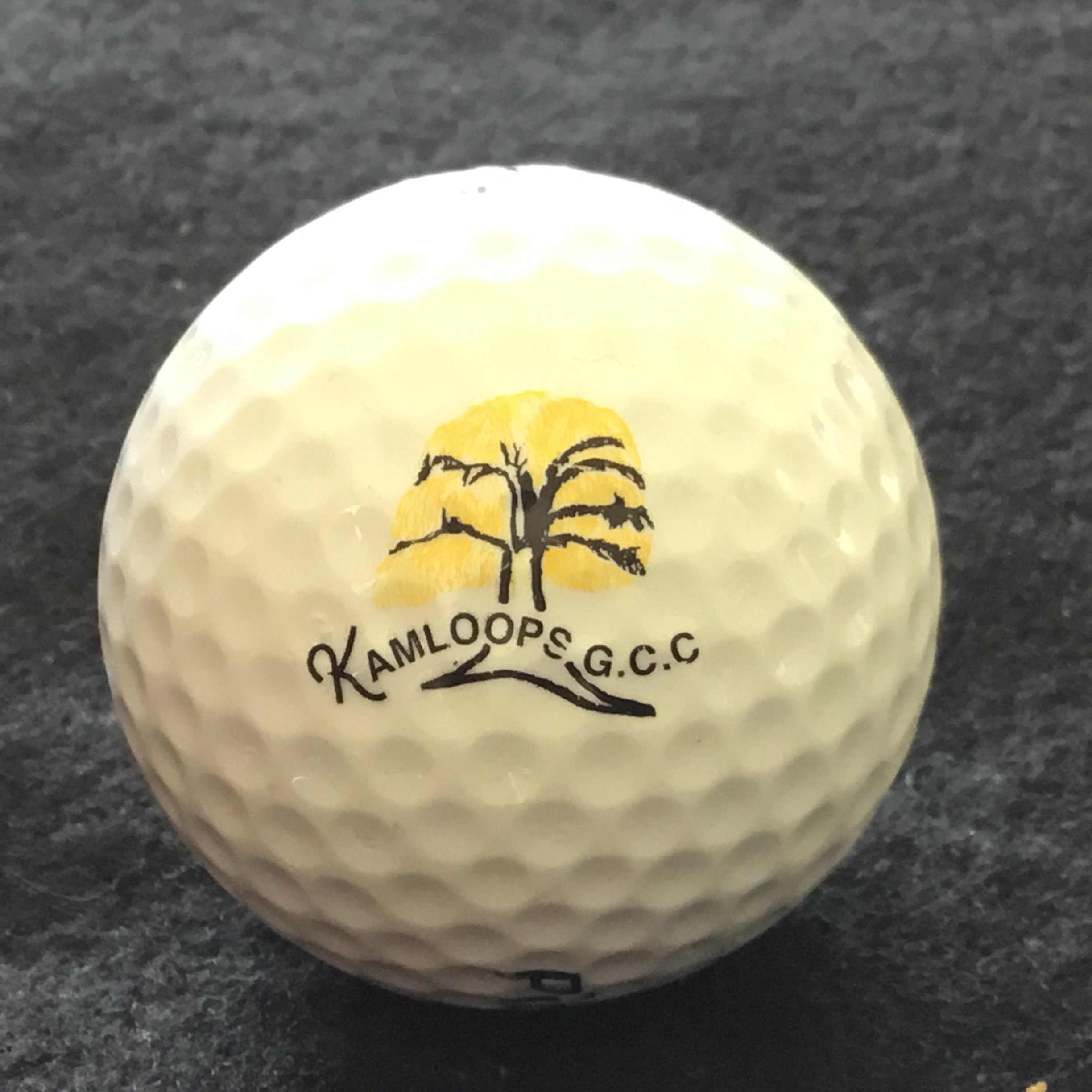 Kamloops Golf and Country Club