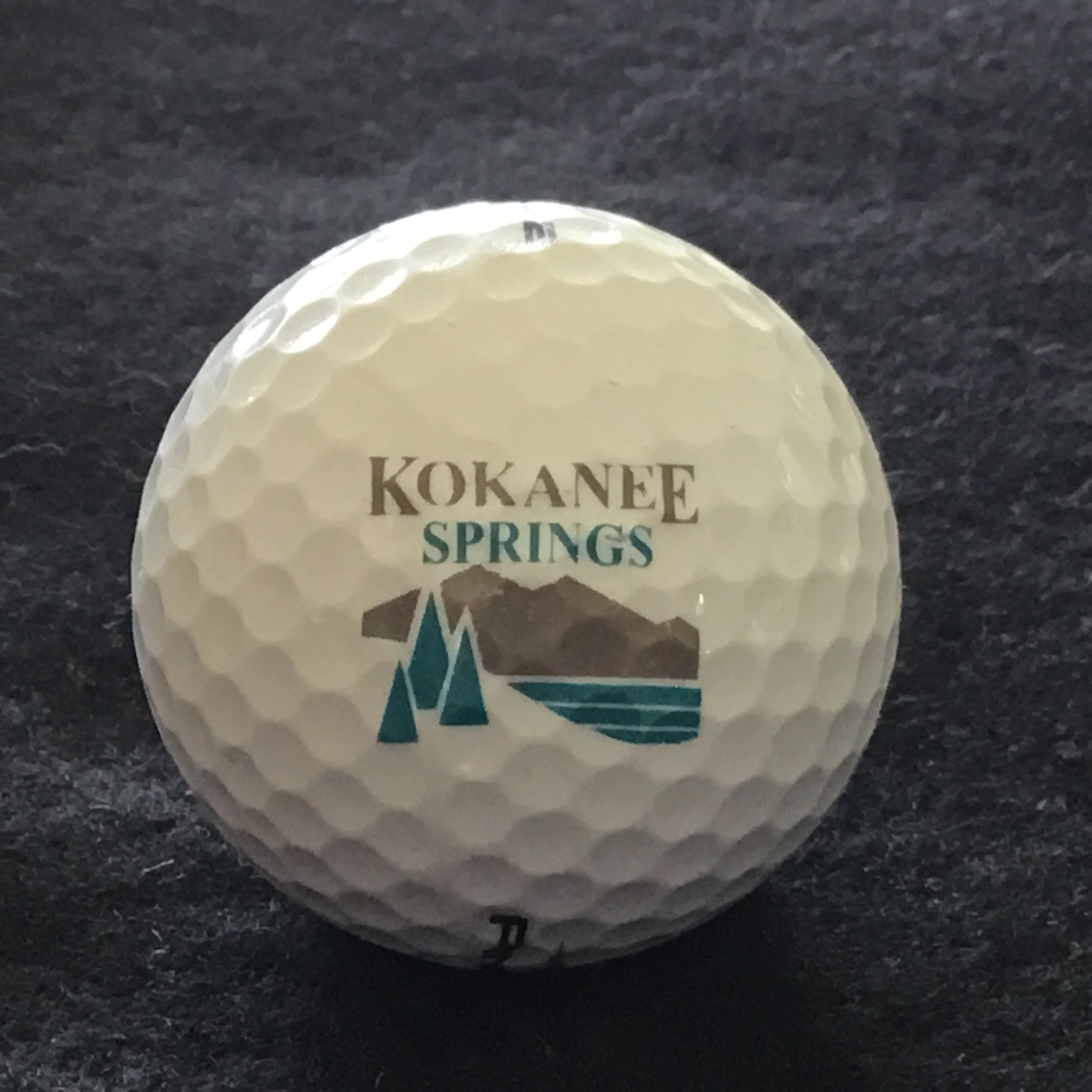 Kokanee Springs Golf Resort