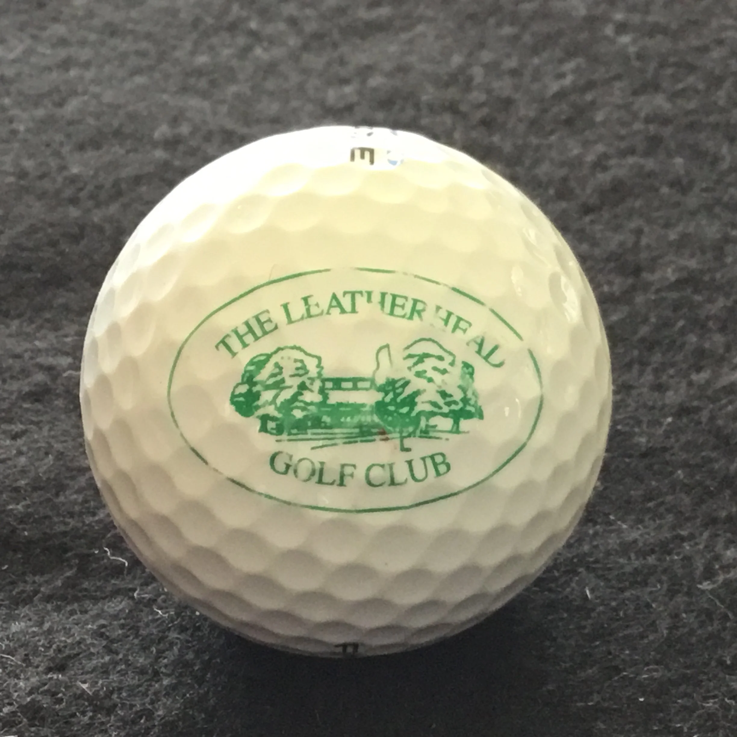 Leatherhead - The Leatherhead Golf Club