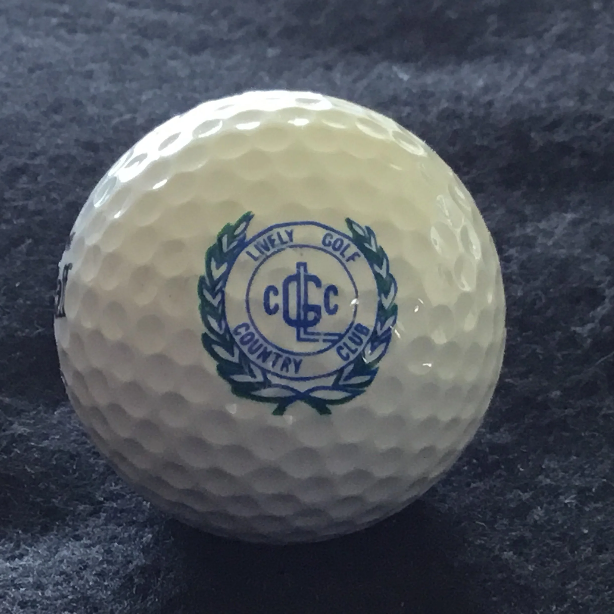 Lively Golf and Country Club