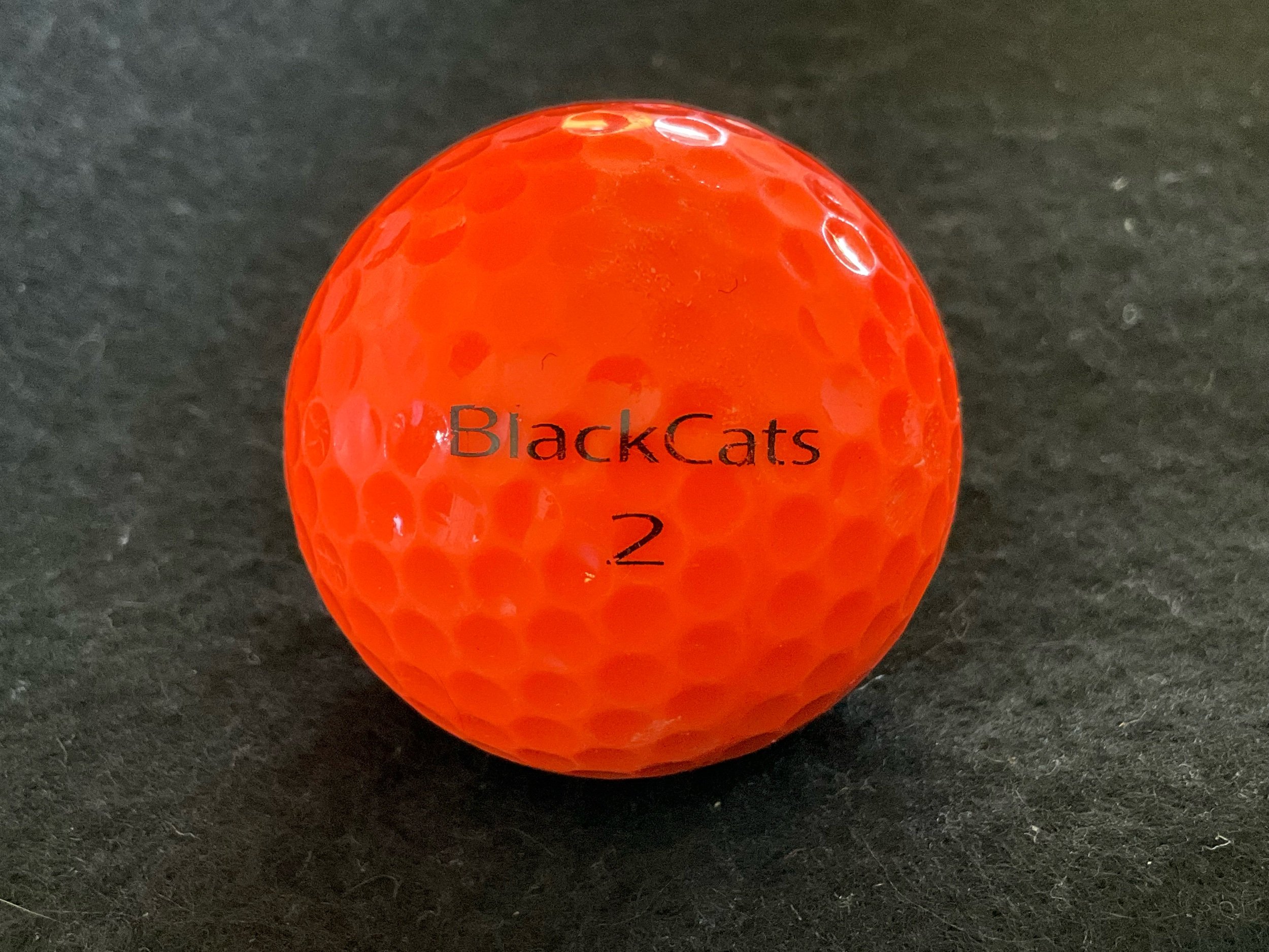 BlackCats