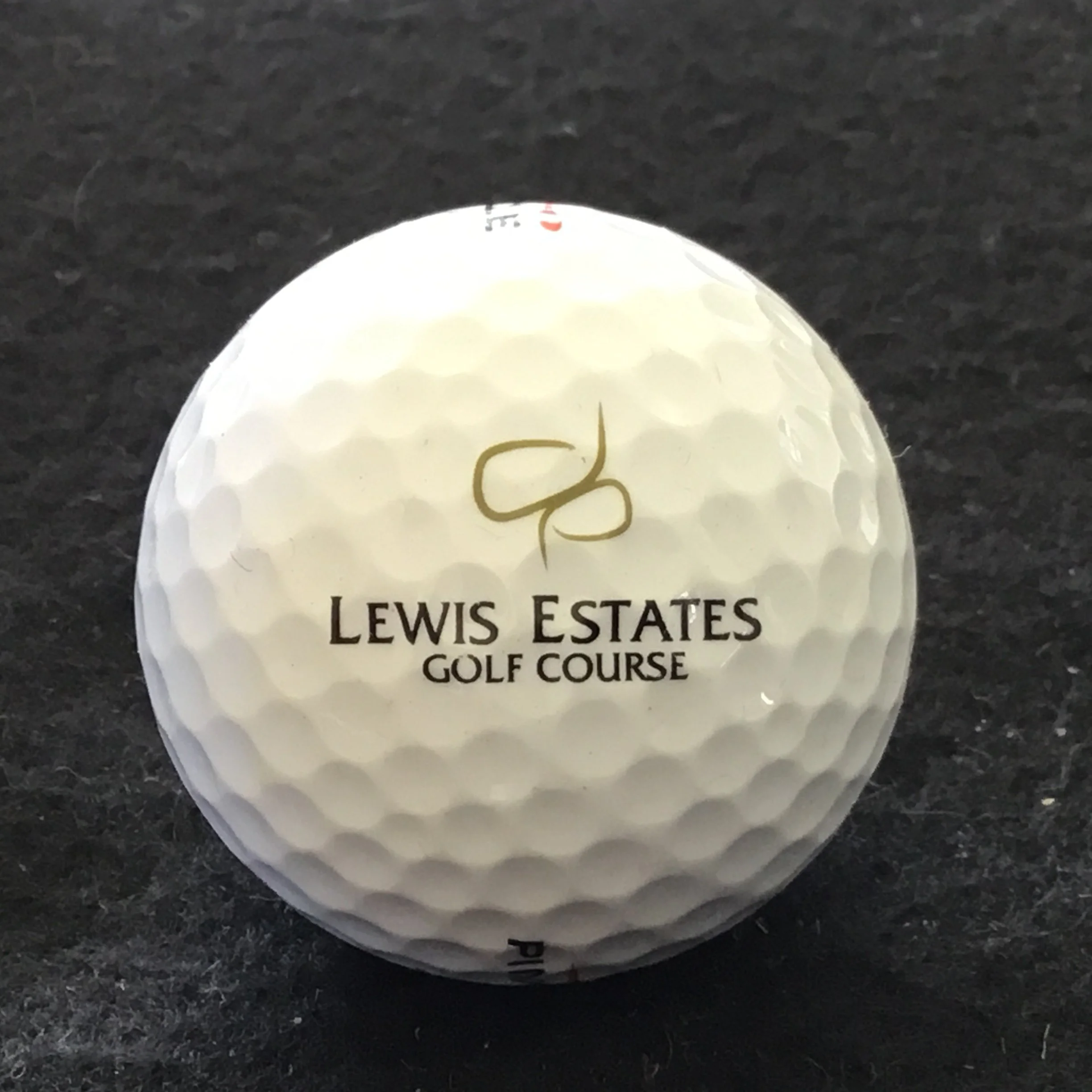 Lewis Estates Golf Course