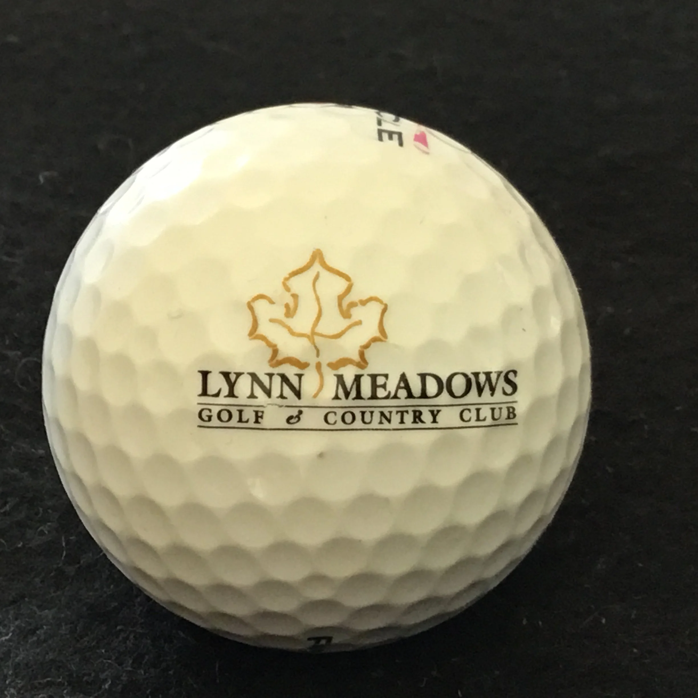 Lynn Meadows Golf and Country Club