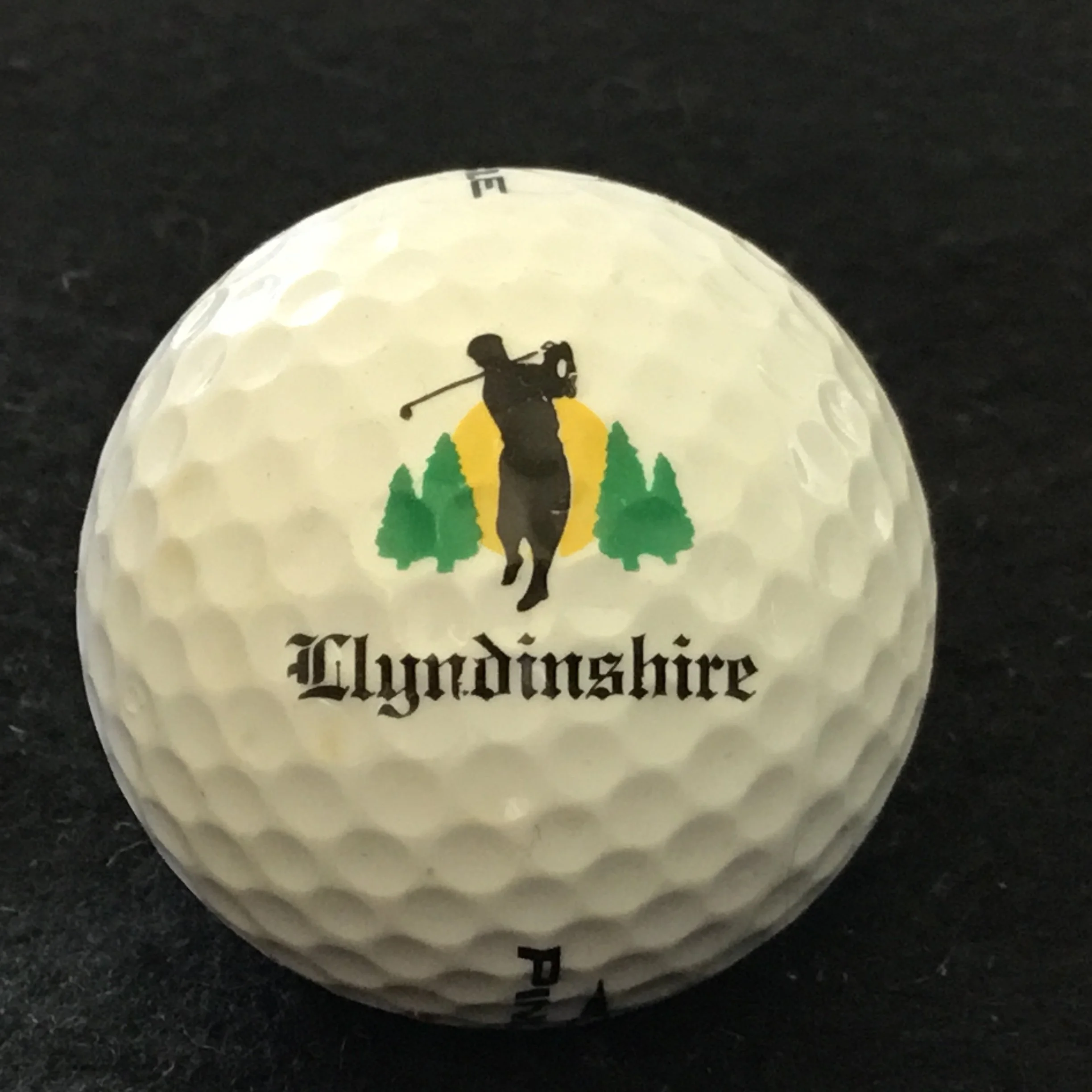 Llyndinshire Golf and Country Club