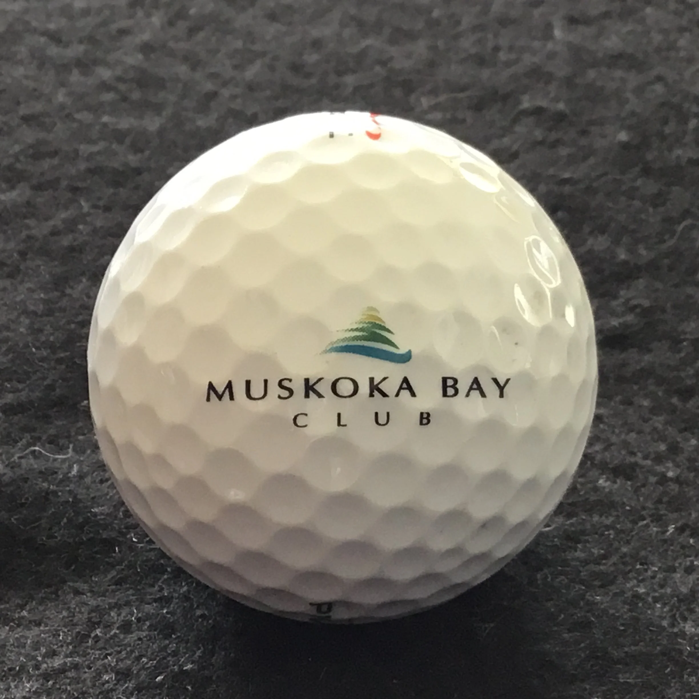 Muskoka Bay Club